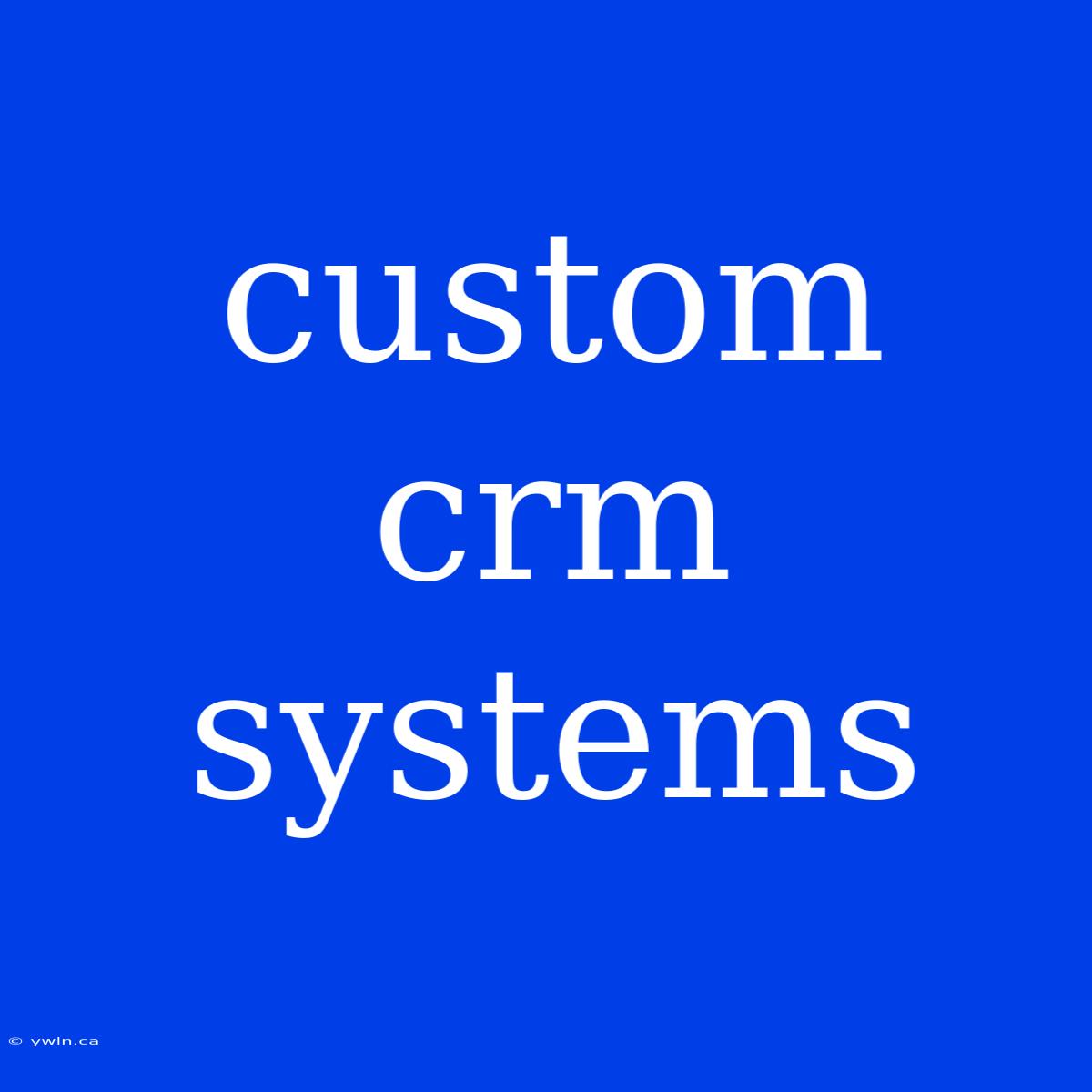 Custom Crm Systems