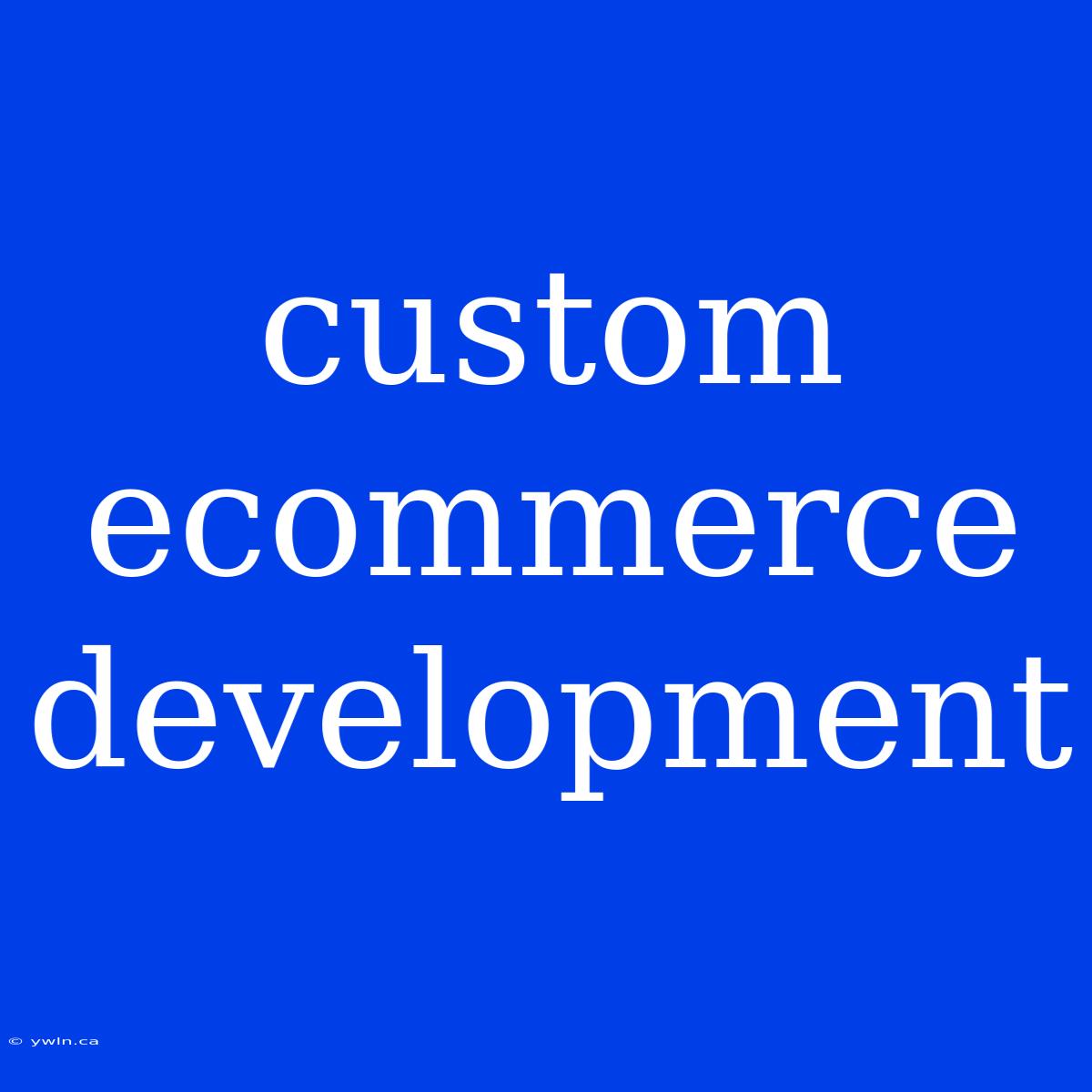 Custom Ecommerce Development