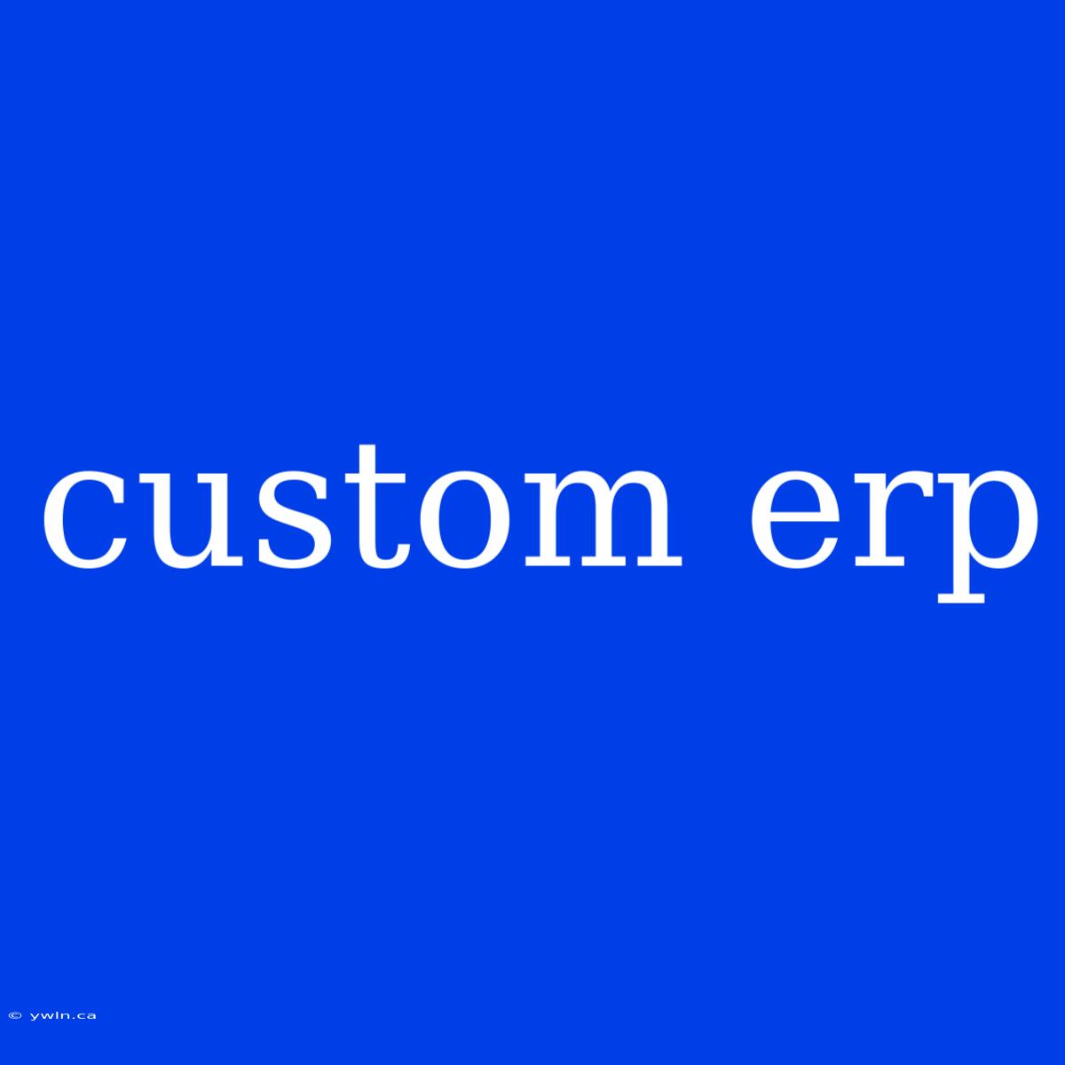 Custom Erp