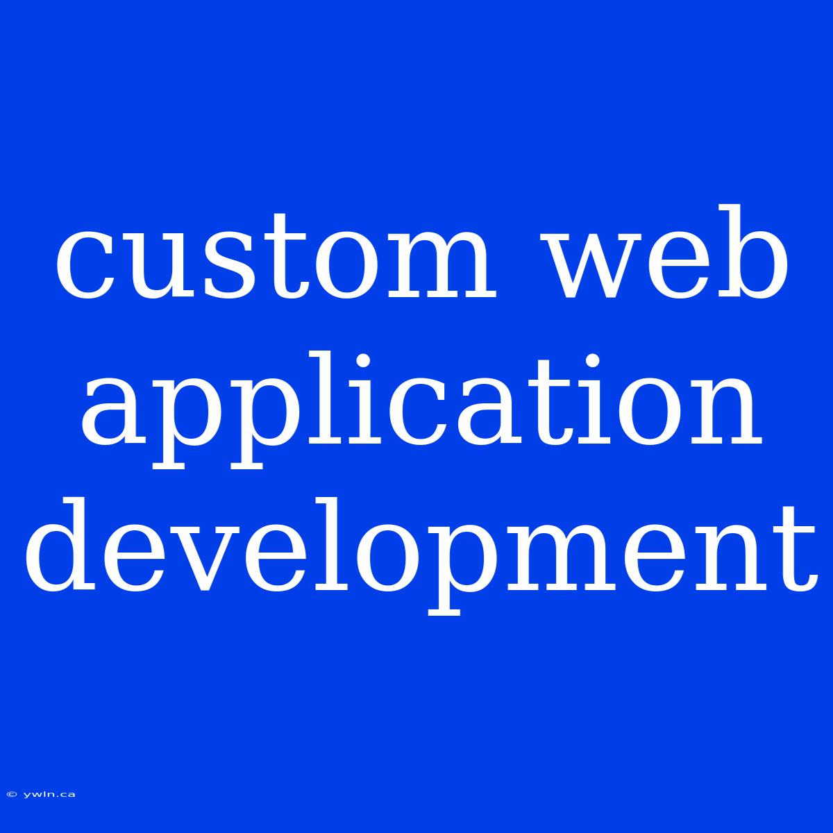 Custom Web Application Development