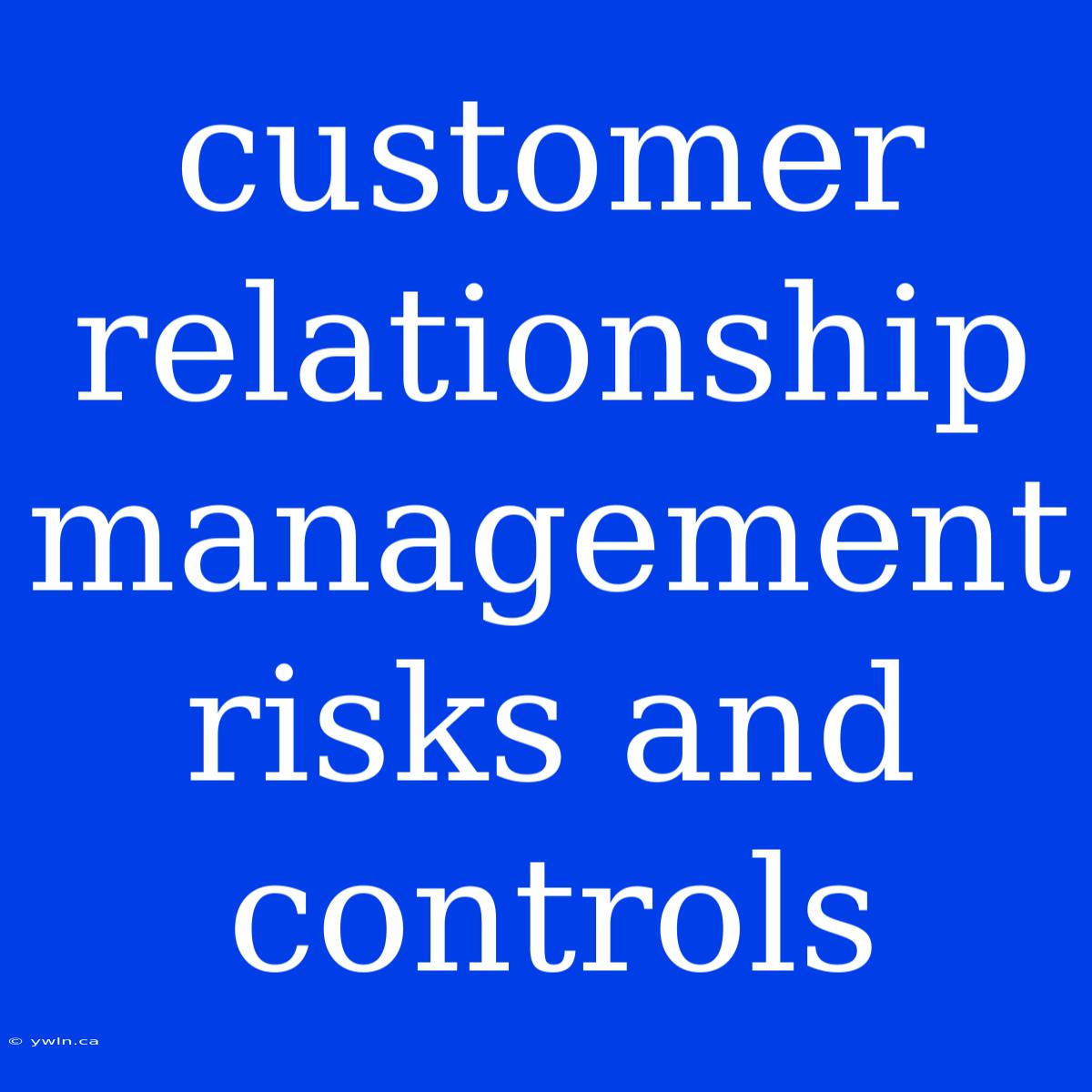 Customer Relationship Management Risks And Controls