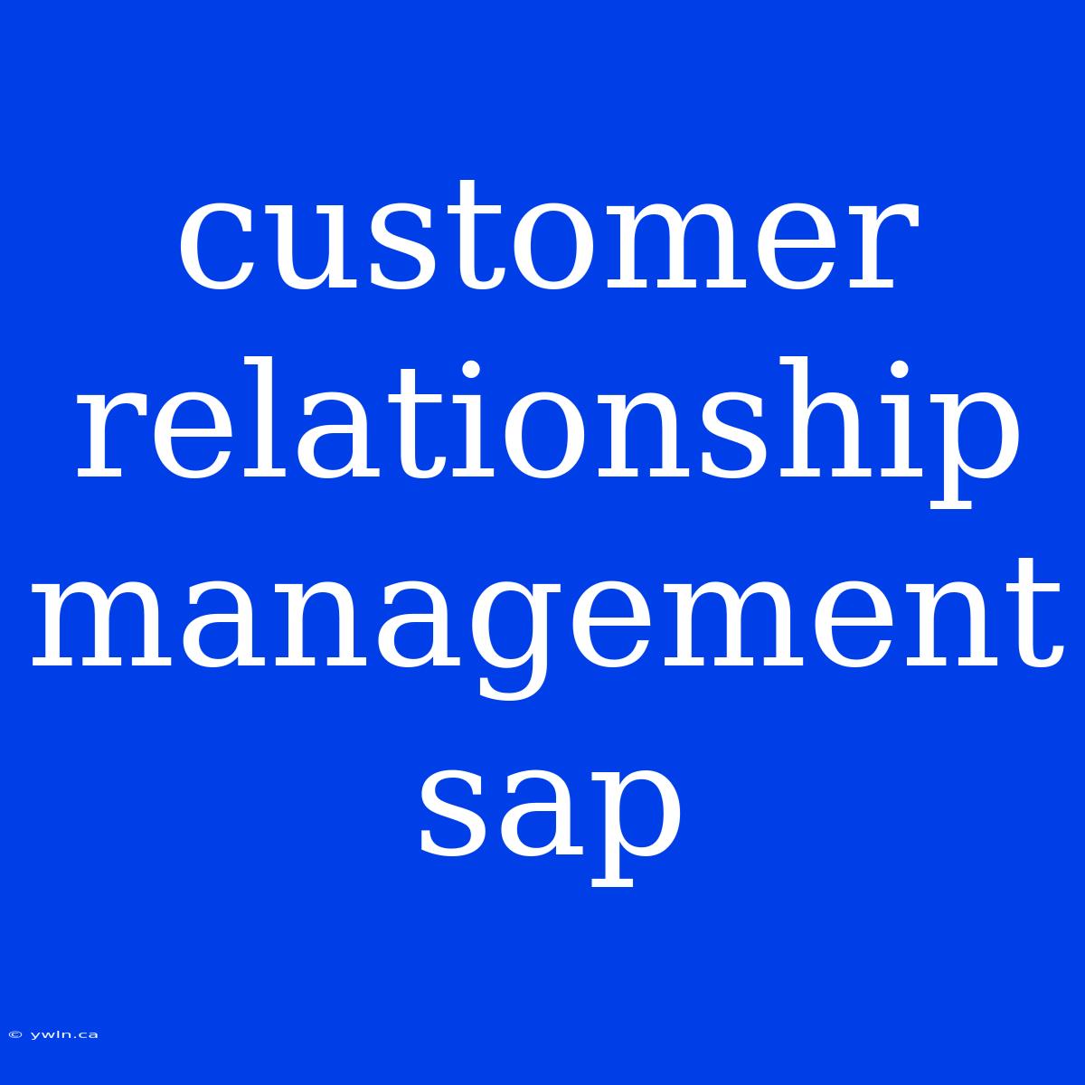 Customer Relationship Management Sap