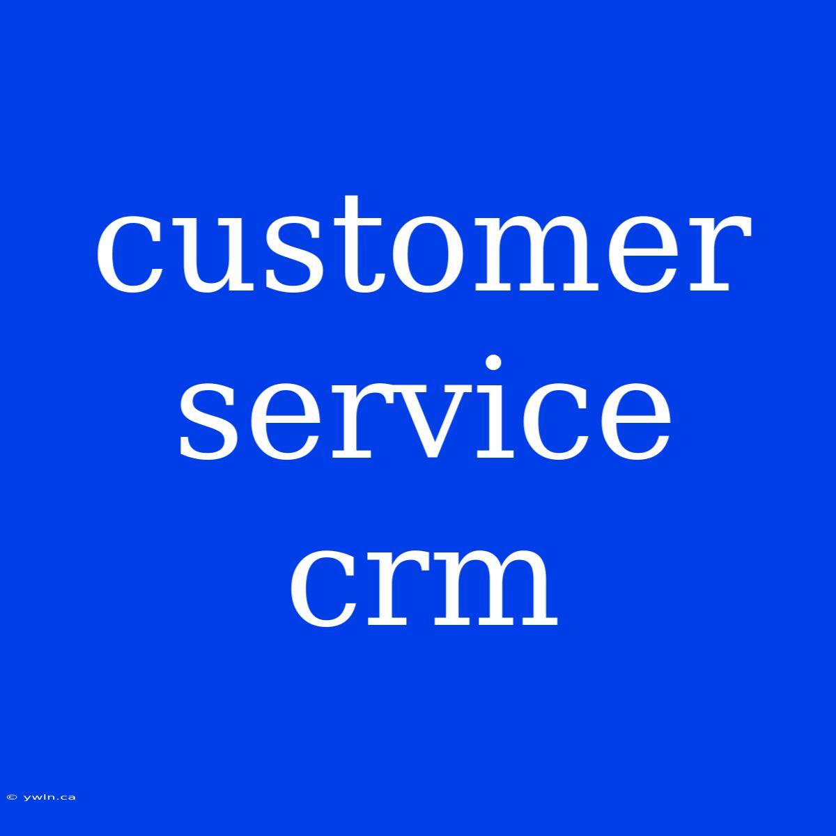 Customer Service Crm