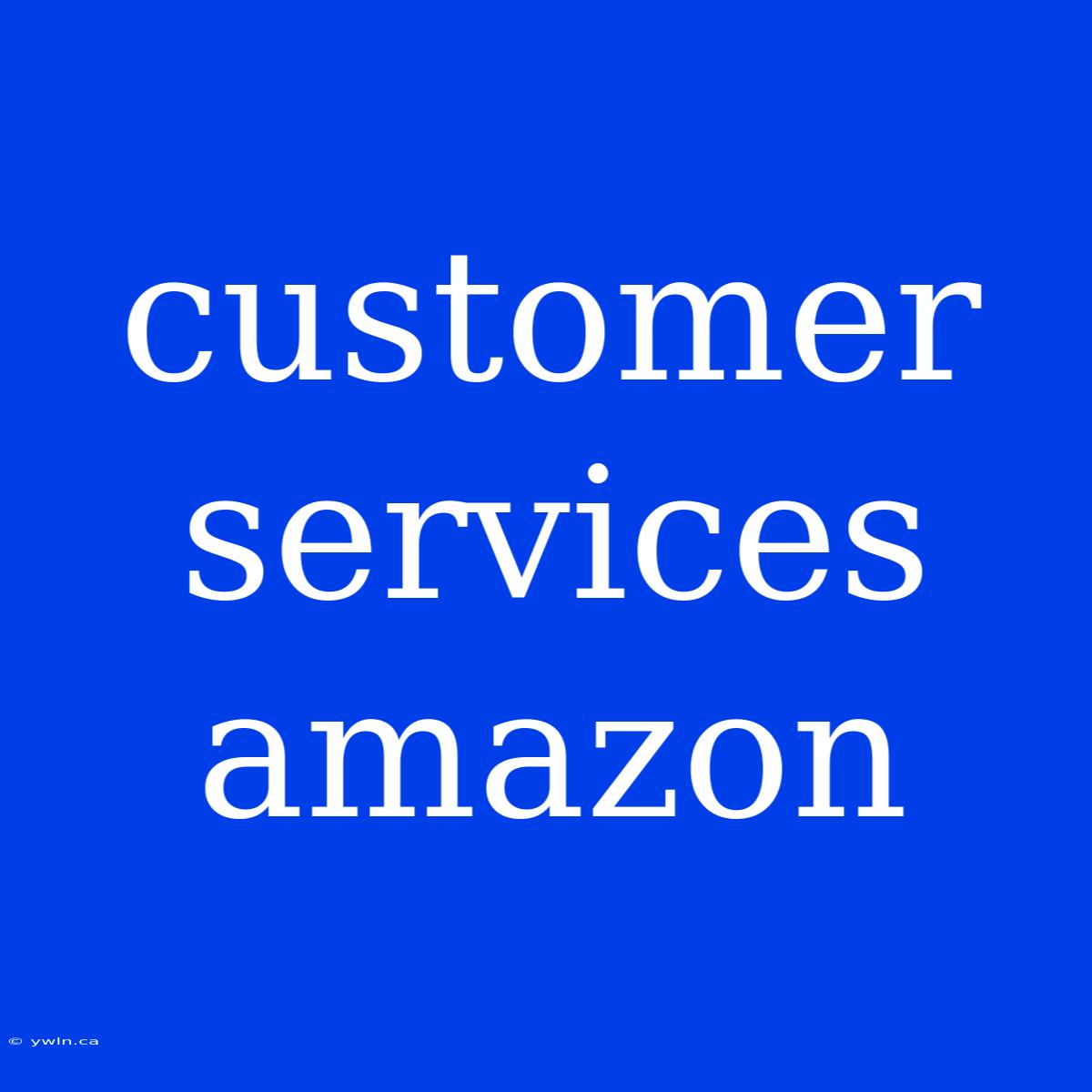 Customer Services Amazon