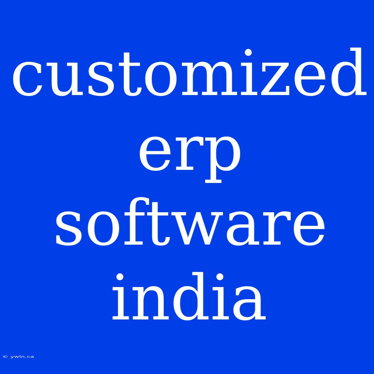 Customized Erp Software India