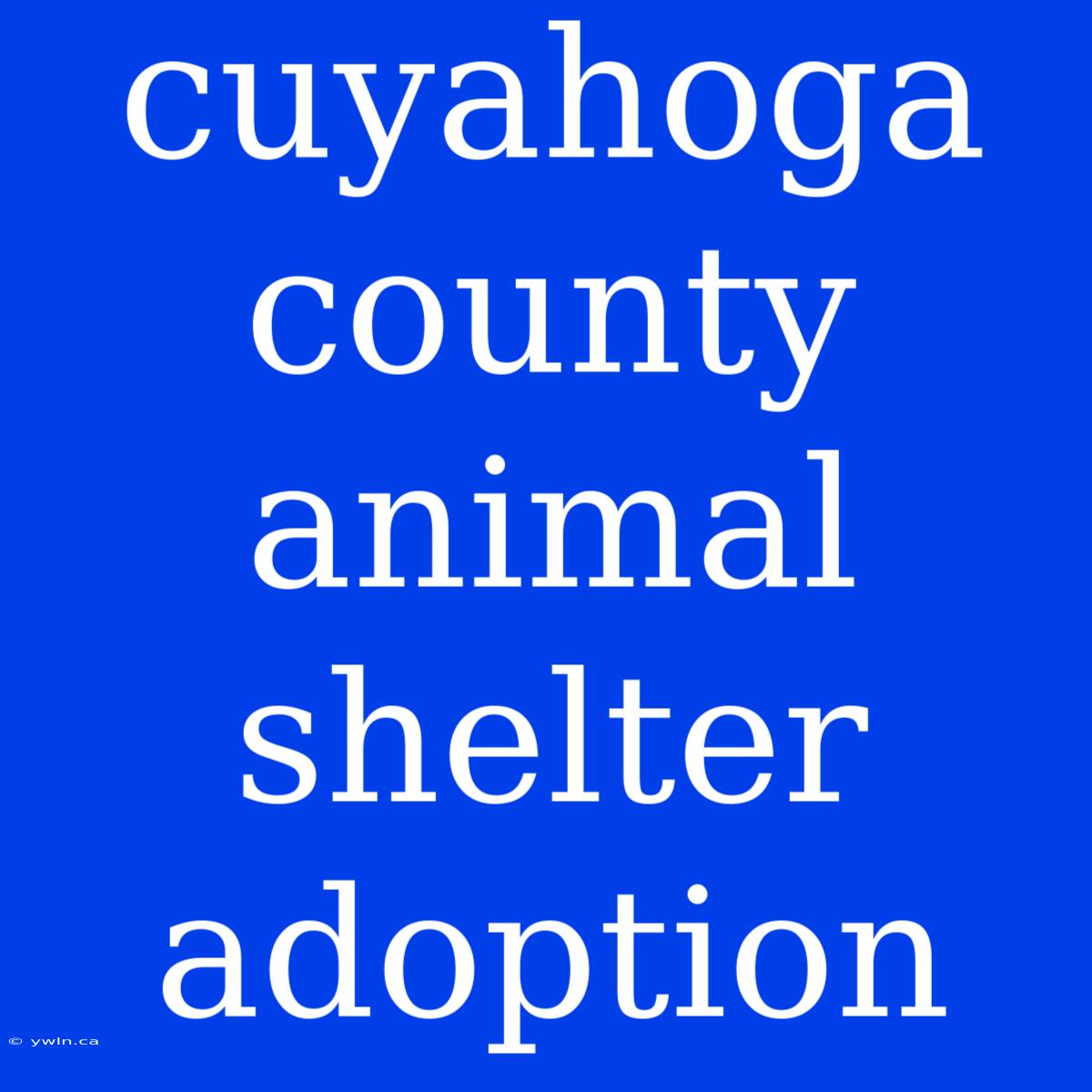 Cuyahoga County Animal Shelter Adoption