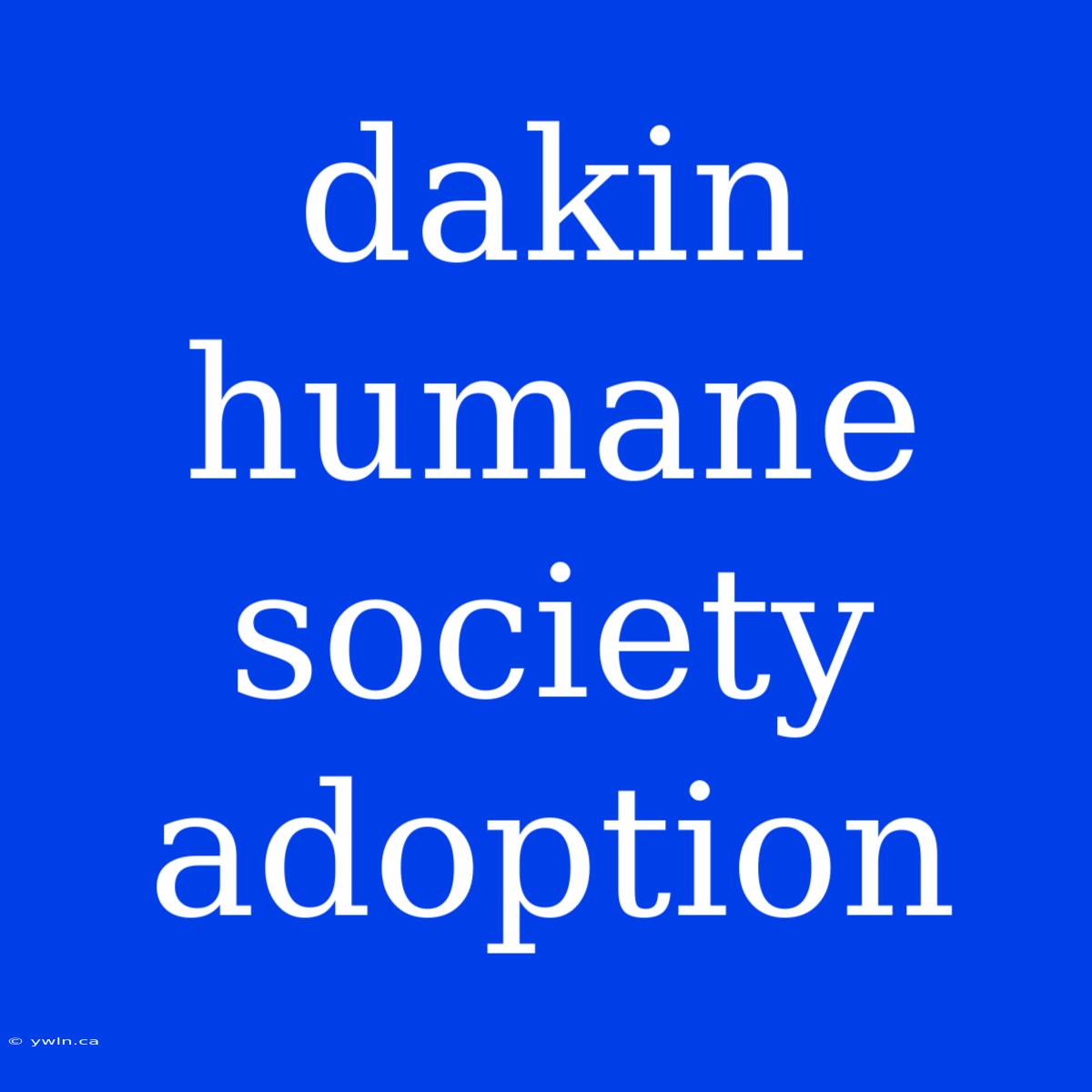 Dakin Humane Society Adoption