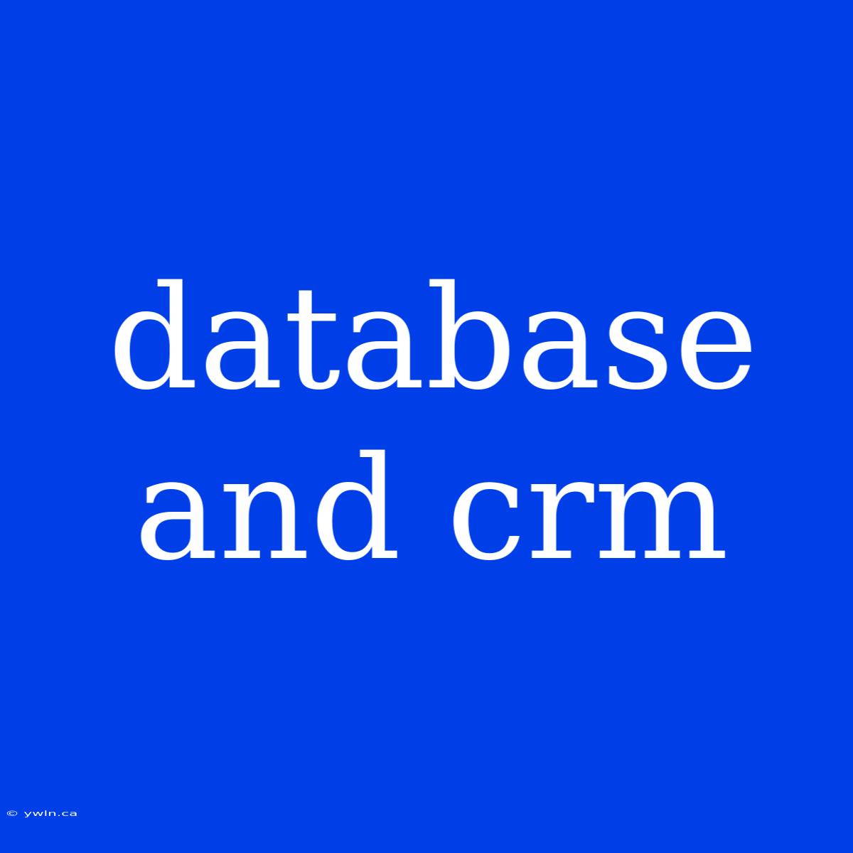 Database And Crm