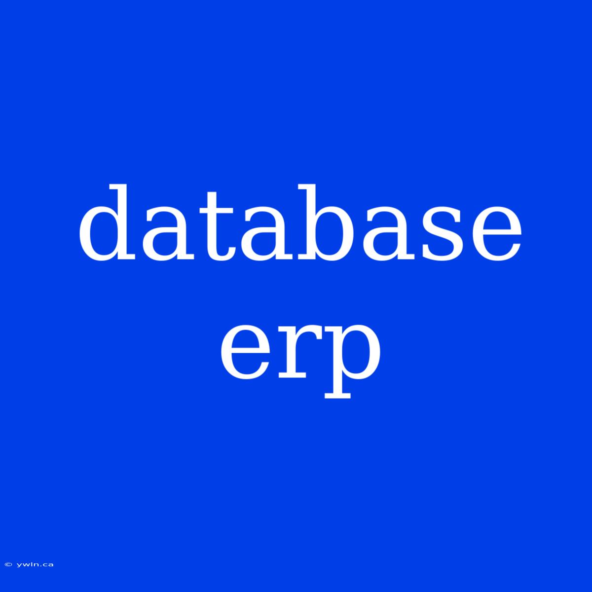 Database Erp