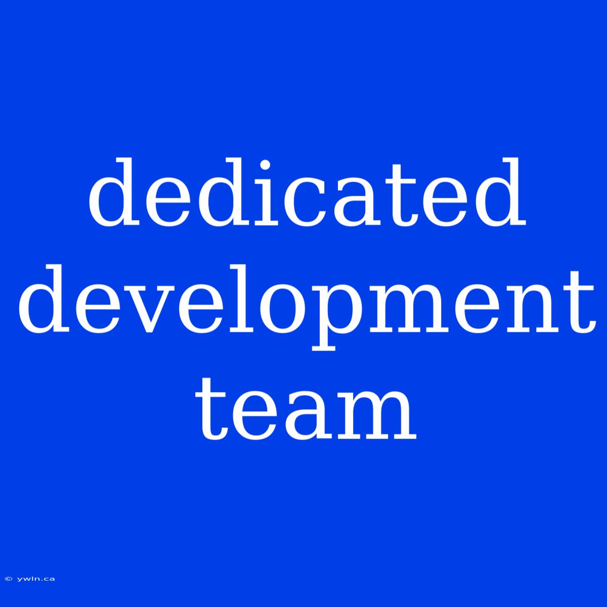 Dedicated Development Team