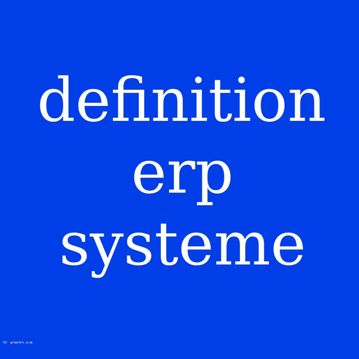 Definition Erp Systeme