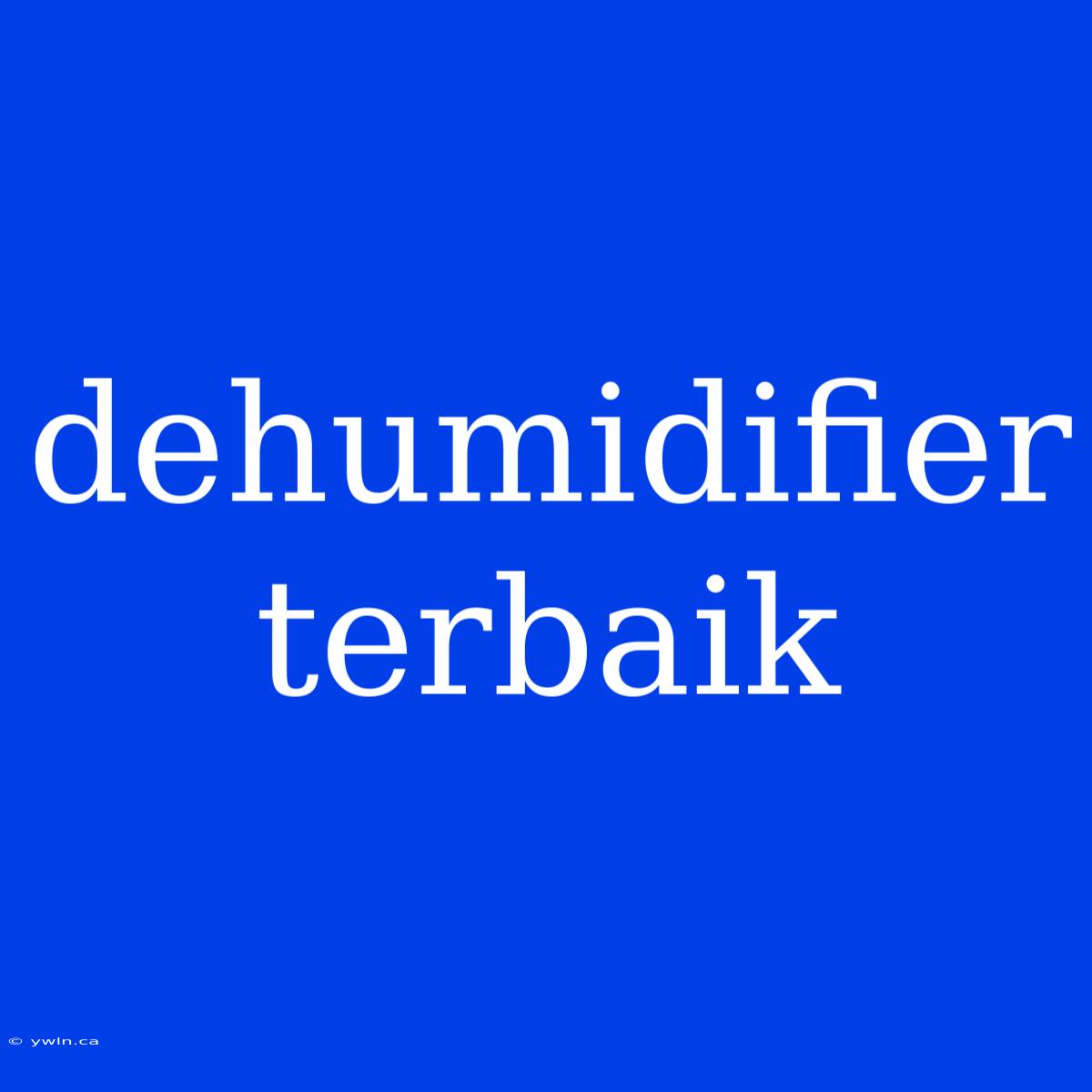 Dehumidifier Terbaik