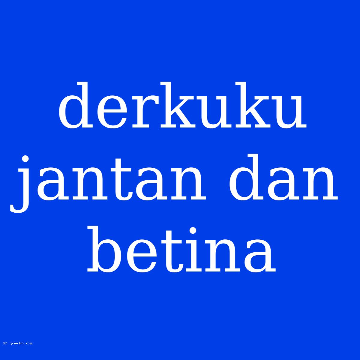 Derkuku Jantan Dan Betina