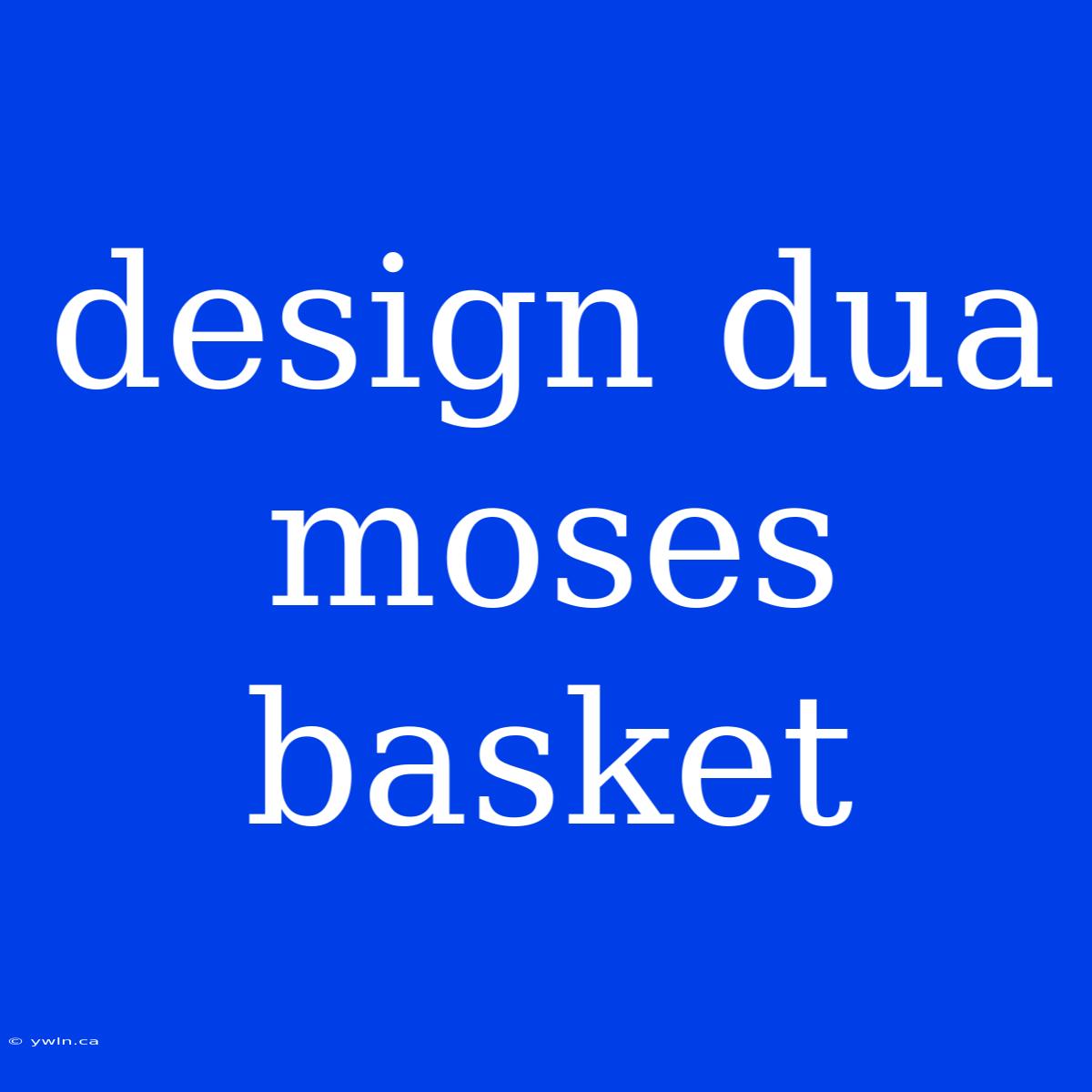 Design Dua Moses Basket