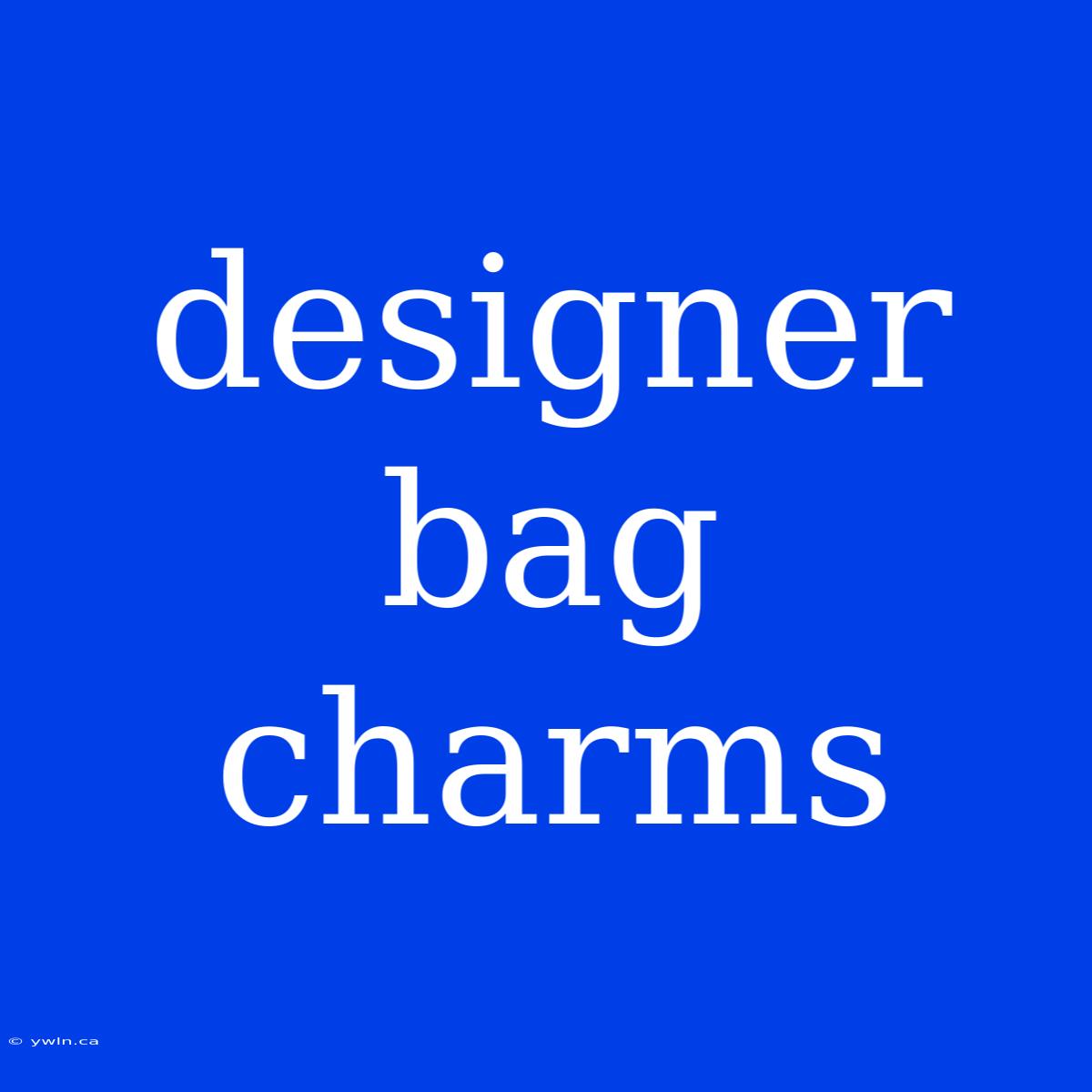 Designer Bag Charms