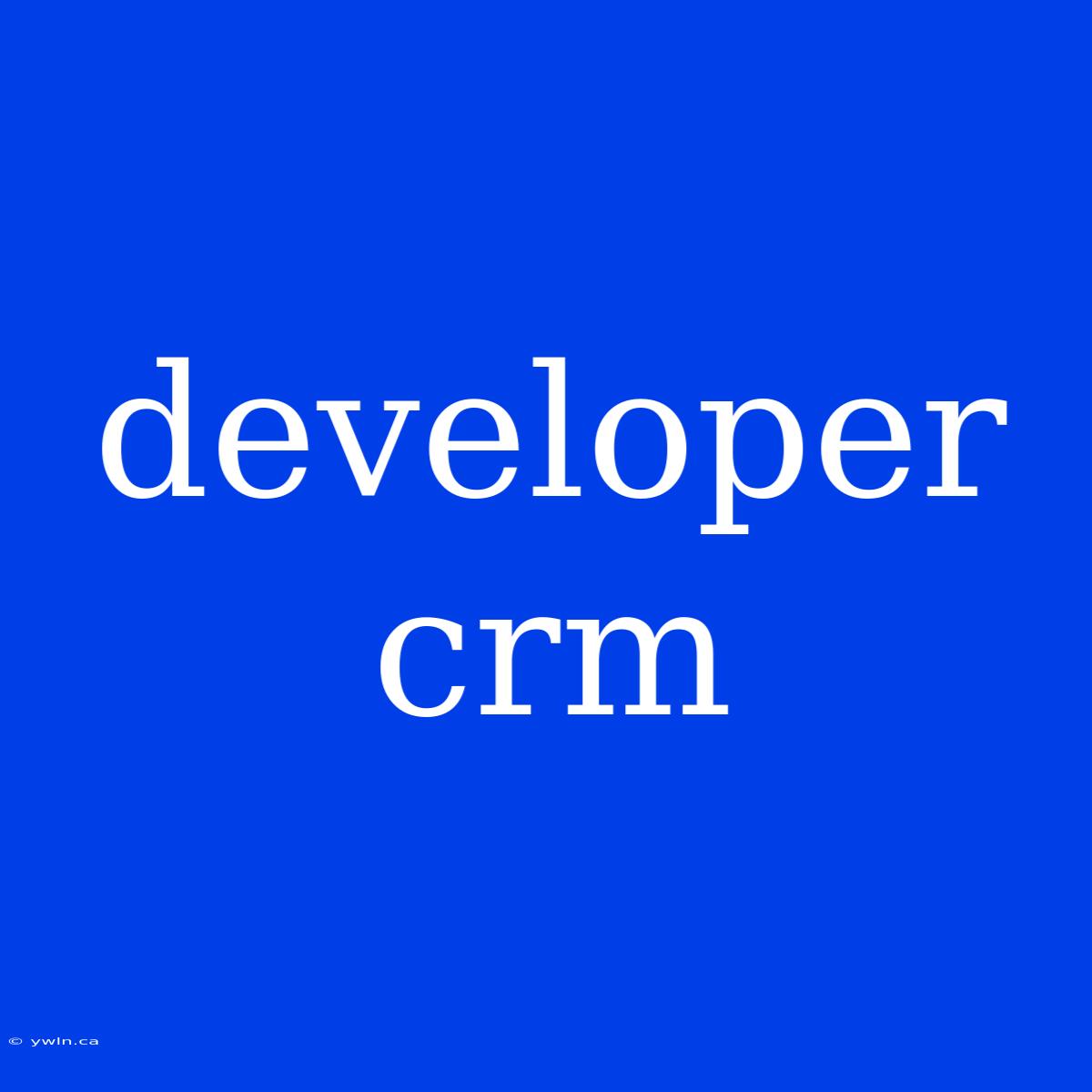 Developer Crm