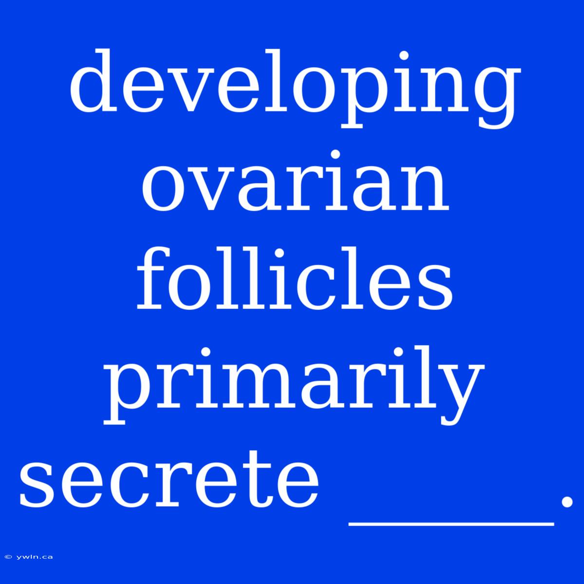 Developing Ovarian Follicles Primarily Secrete _____.