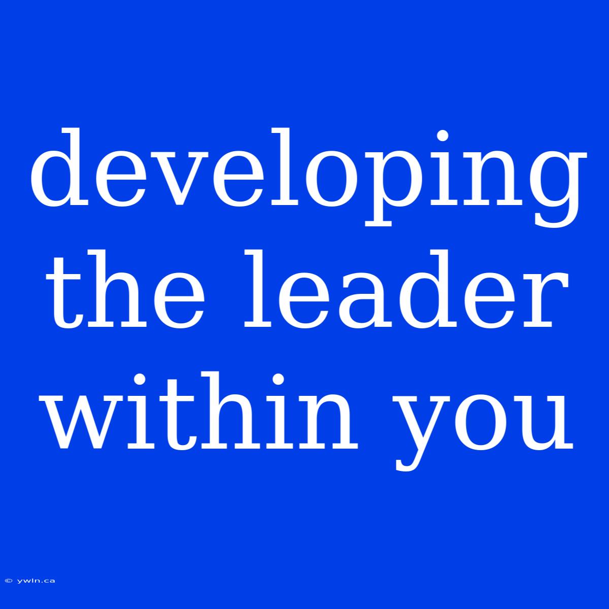 Developing The Leader Within You