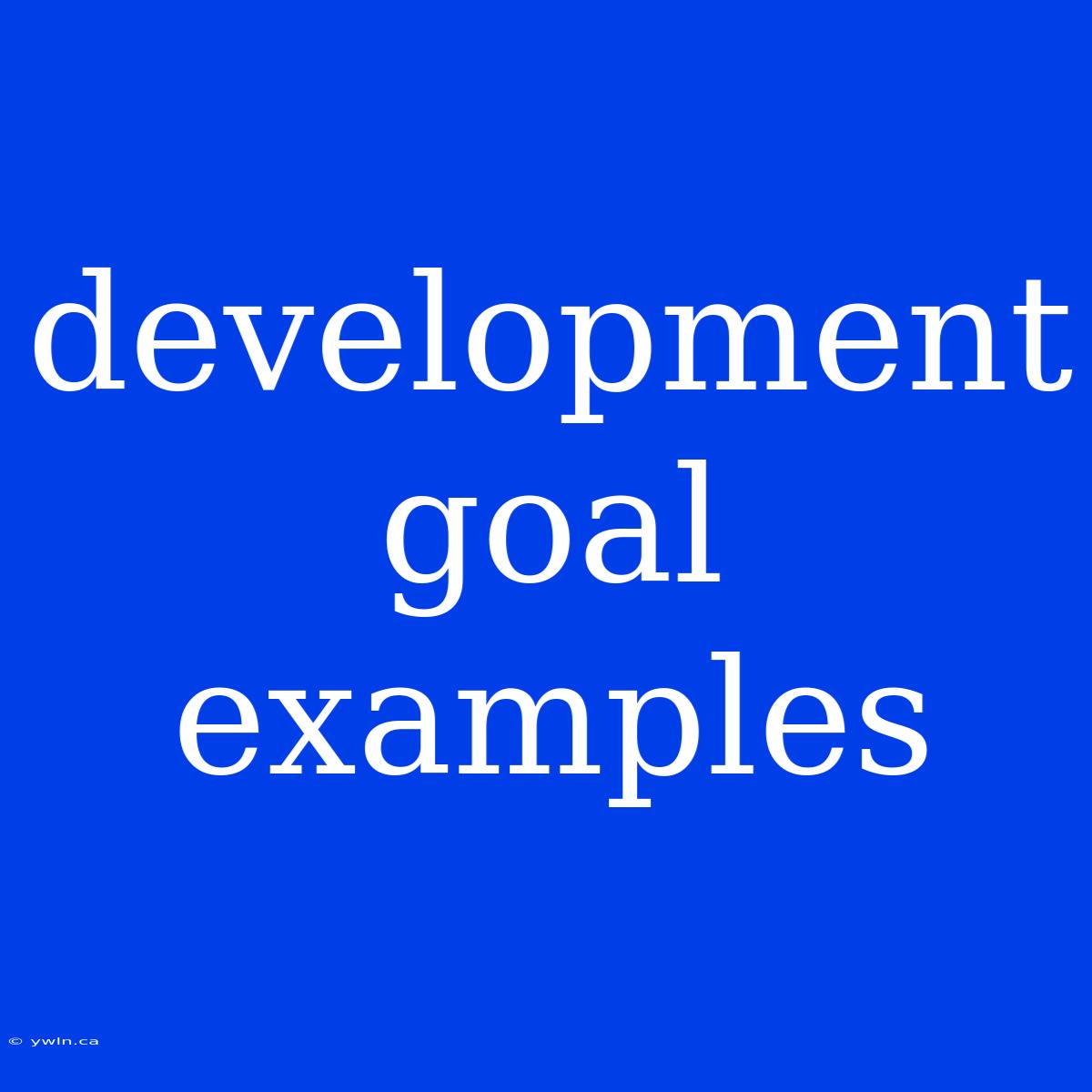 Development Goal Examples