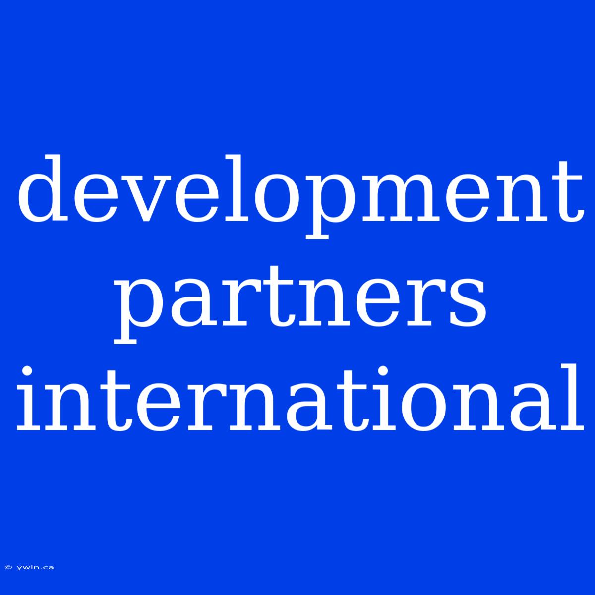 Development Partners International