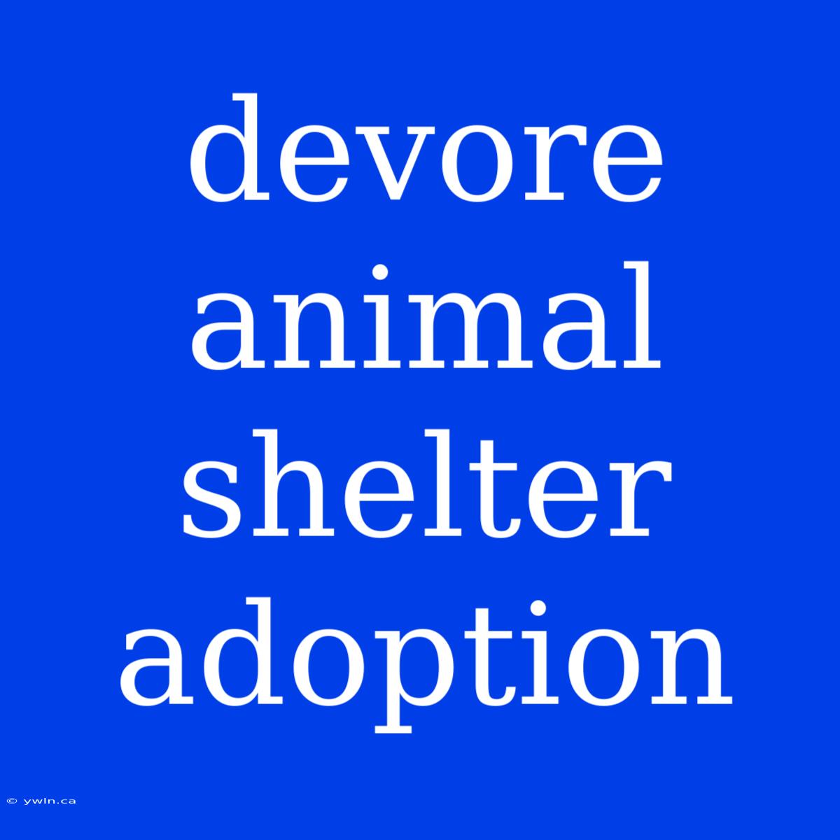 Devore Animal Shelter Adoption