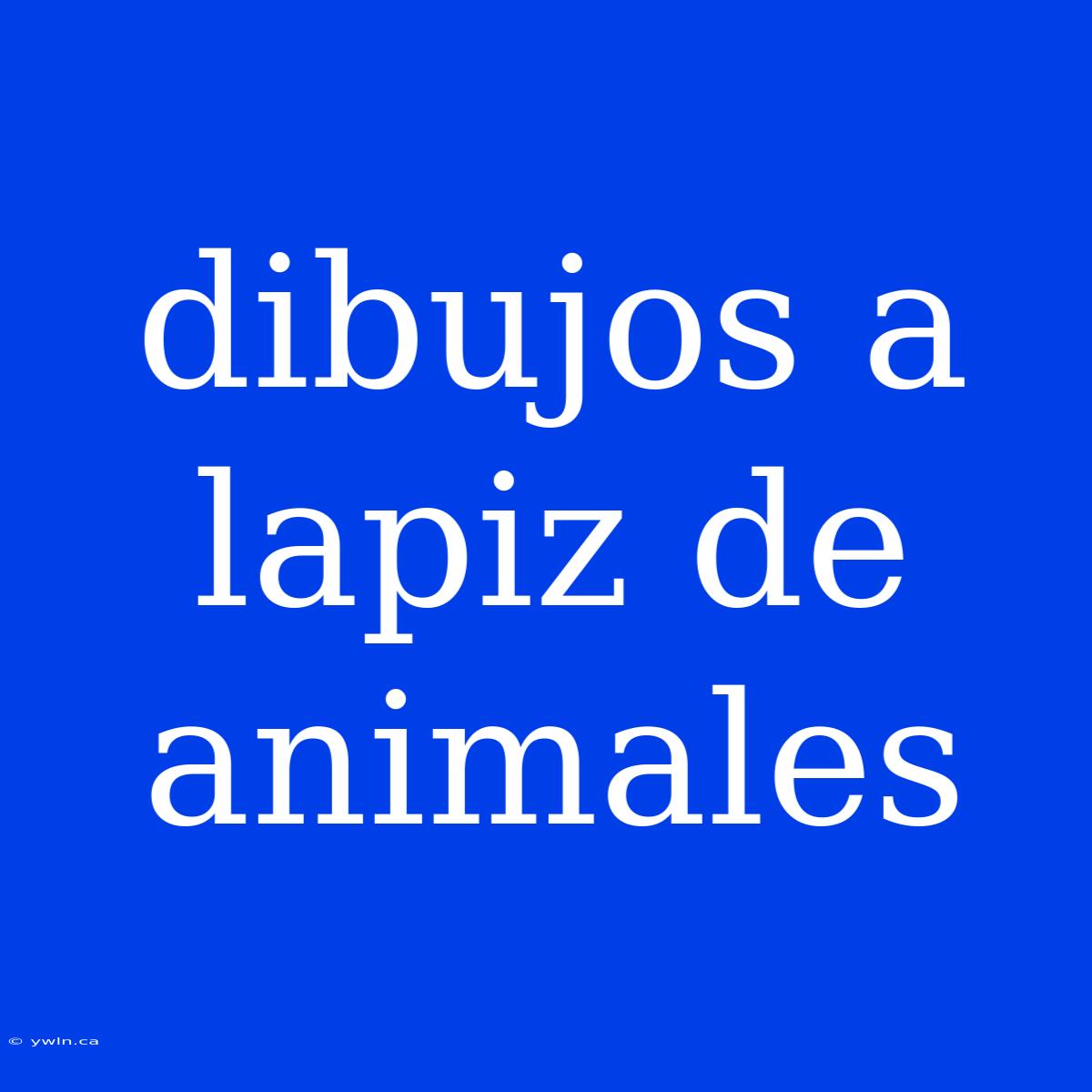 Dibujos A Lapiz De Animales