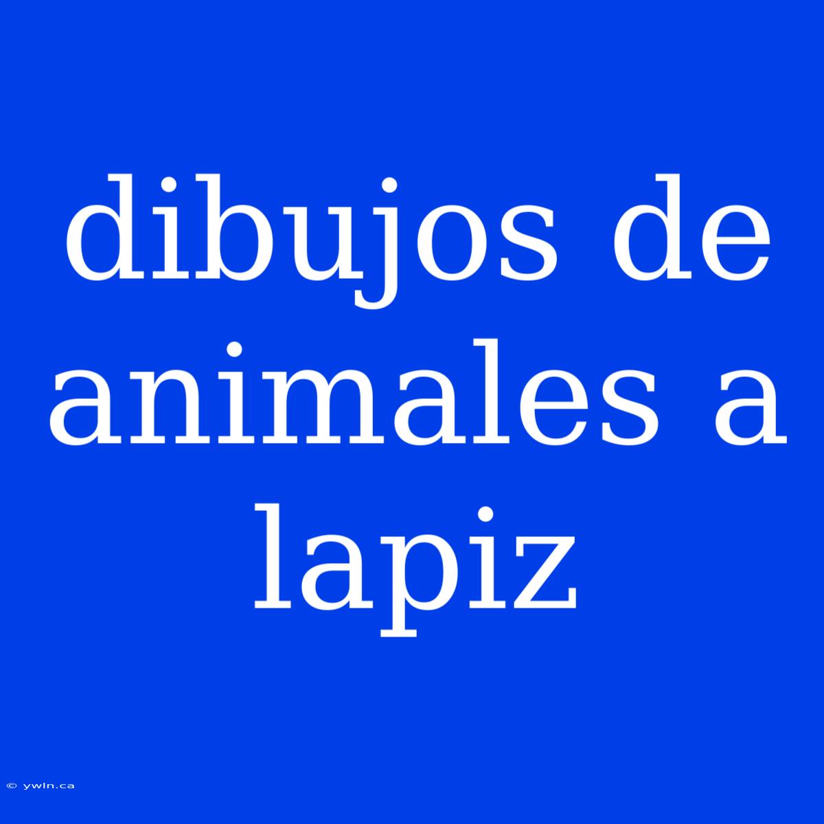 Dibujos De Animales A Lapiz