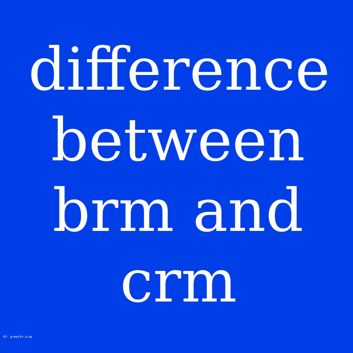 Difference Between Brm And Crm