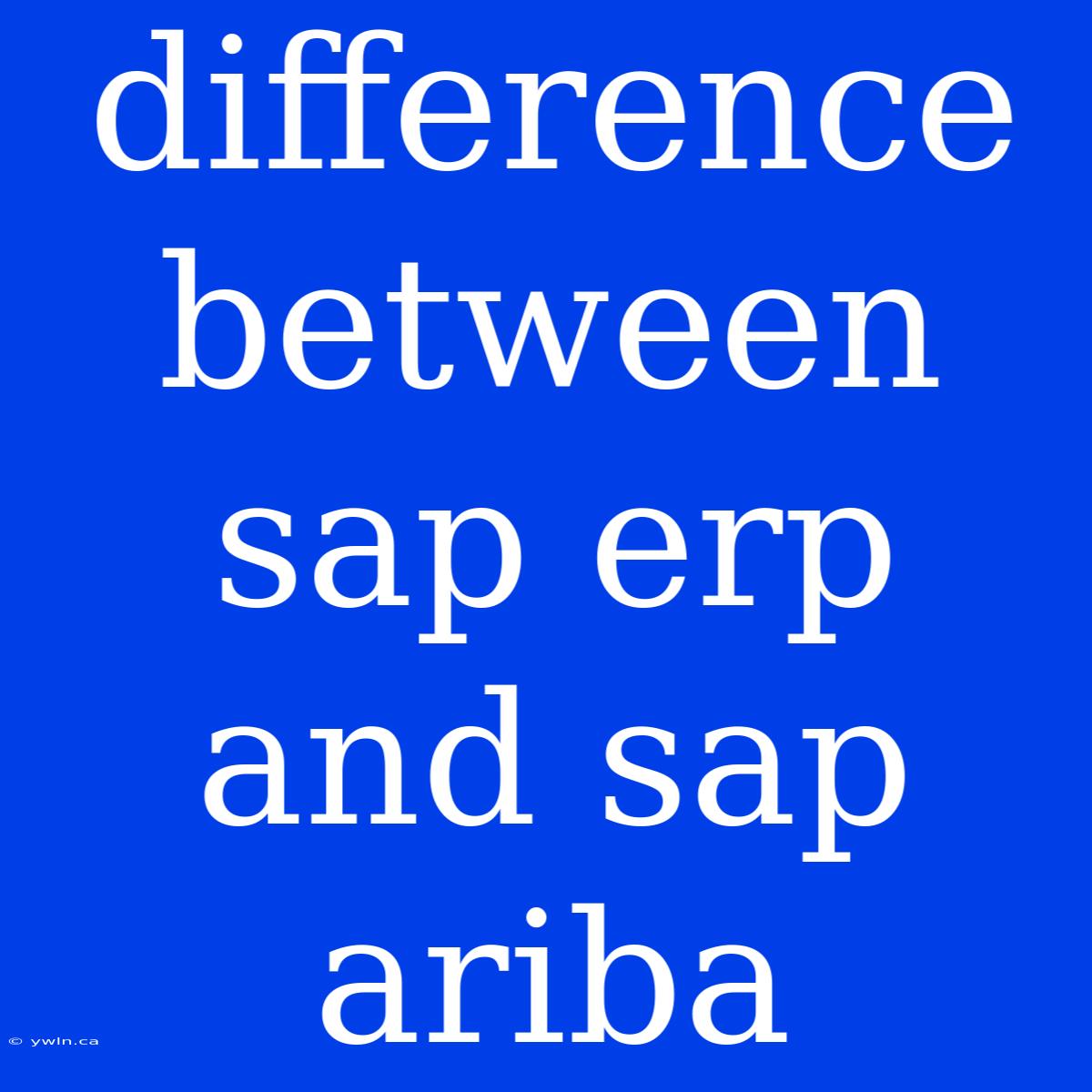 Difference Between Sap Erp And Sap Ariba