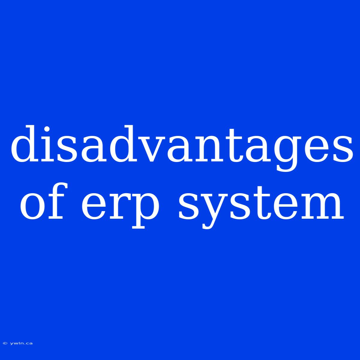 Disadvantages Of Erp System