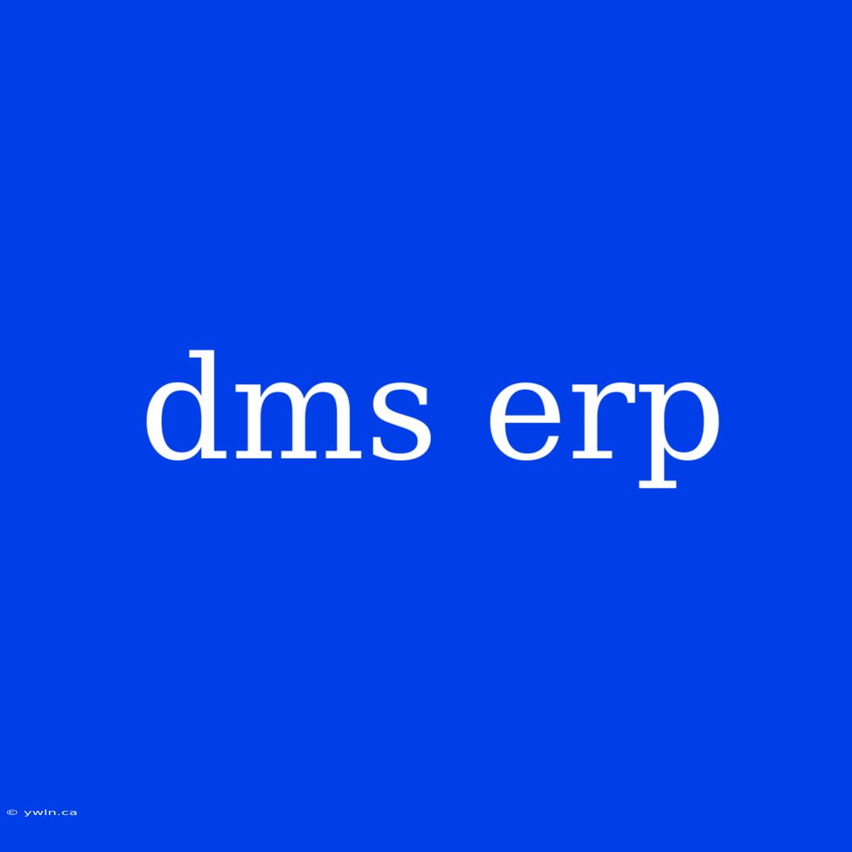 Dms Erp