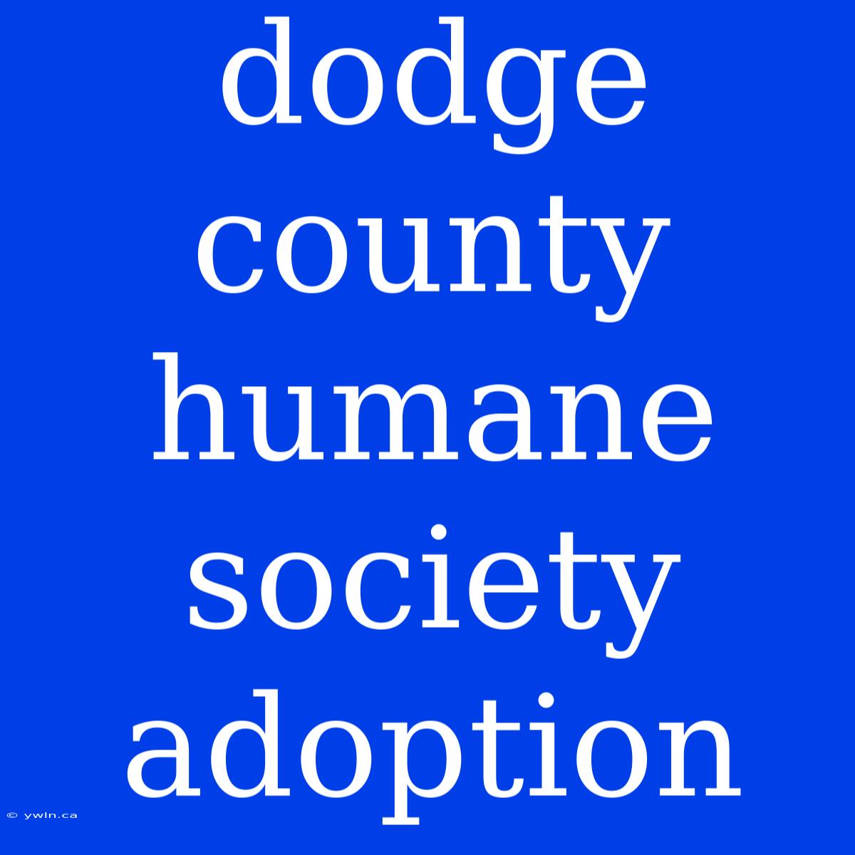 Dodge County Humane Society Adoption