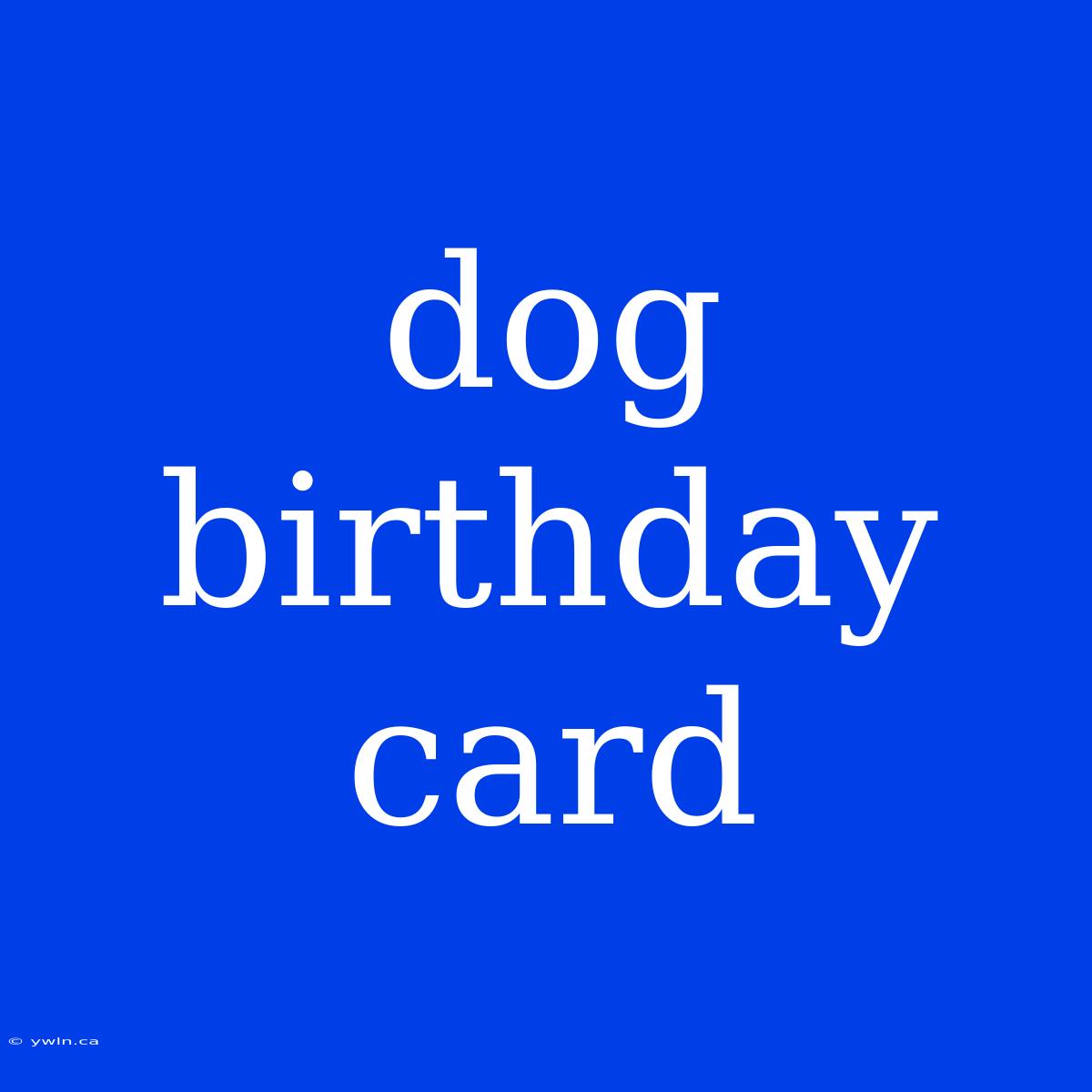 Dog Birthday Card