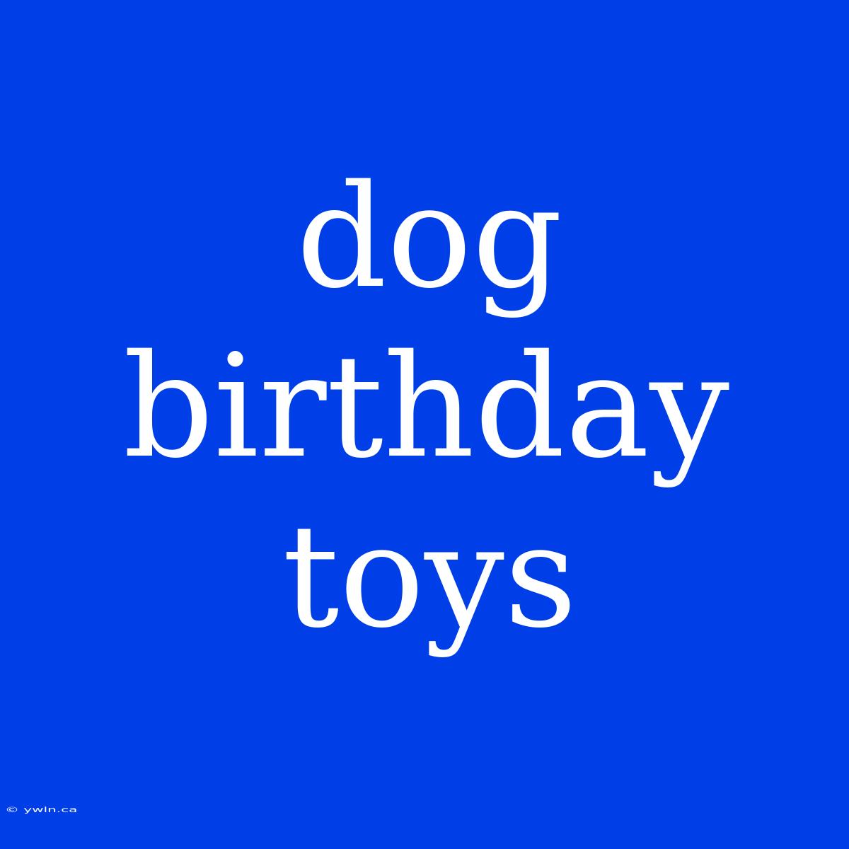 Dog Birthday Toys