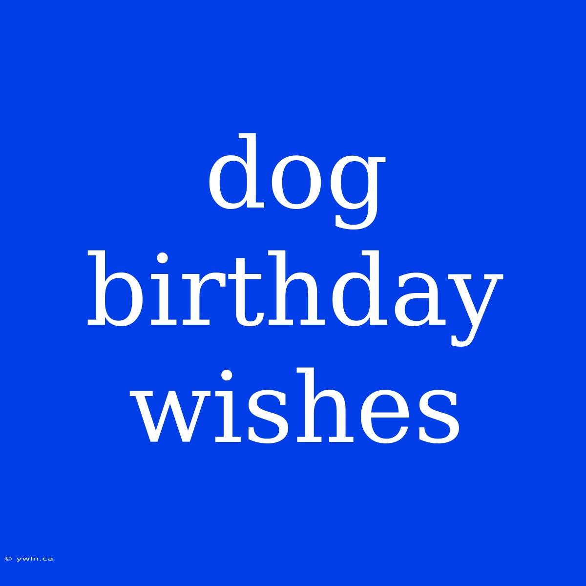 Dog Birthday Wishes