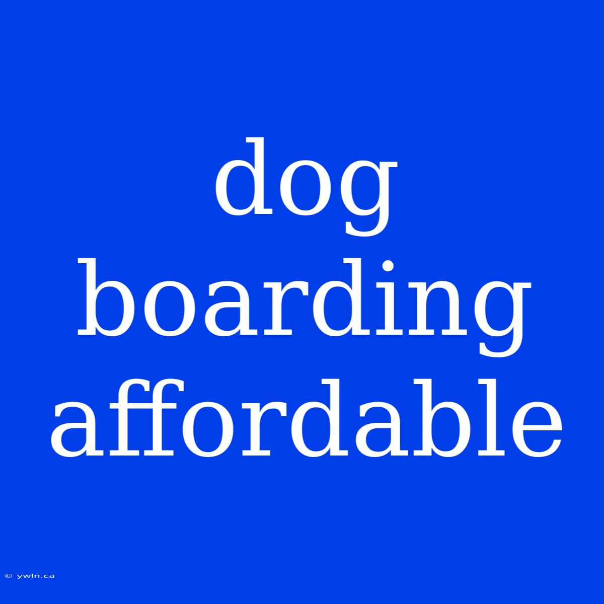 Dog Boarding Affordable