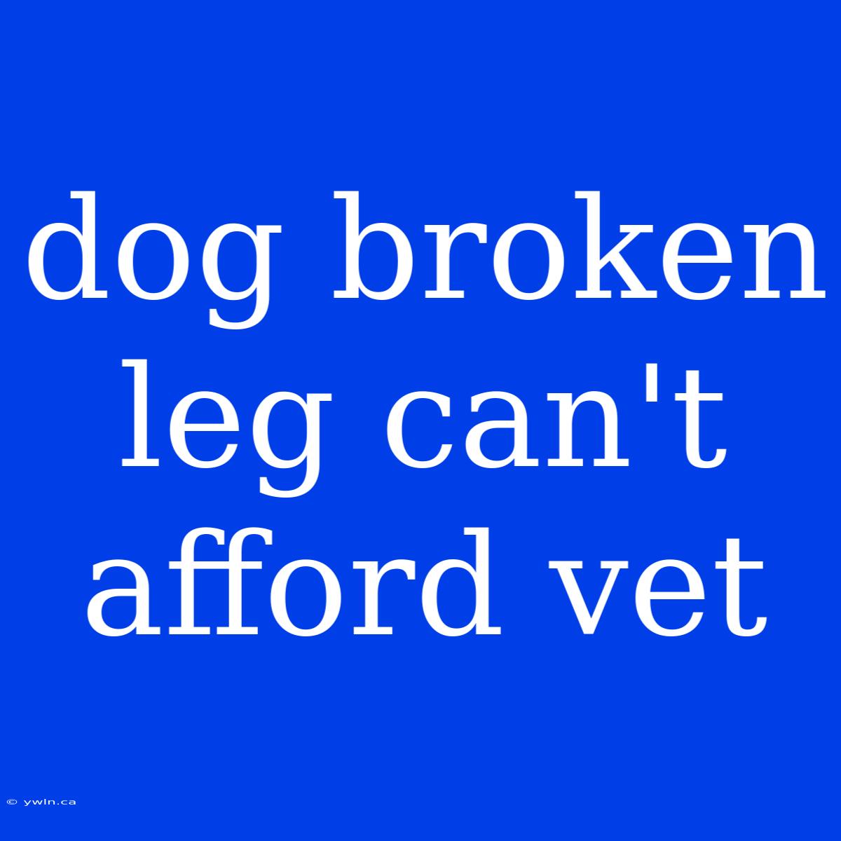 Dog Broken Leg Can't Afford Vet