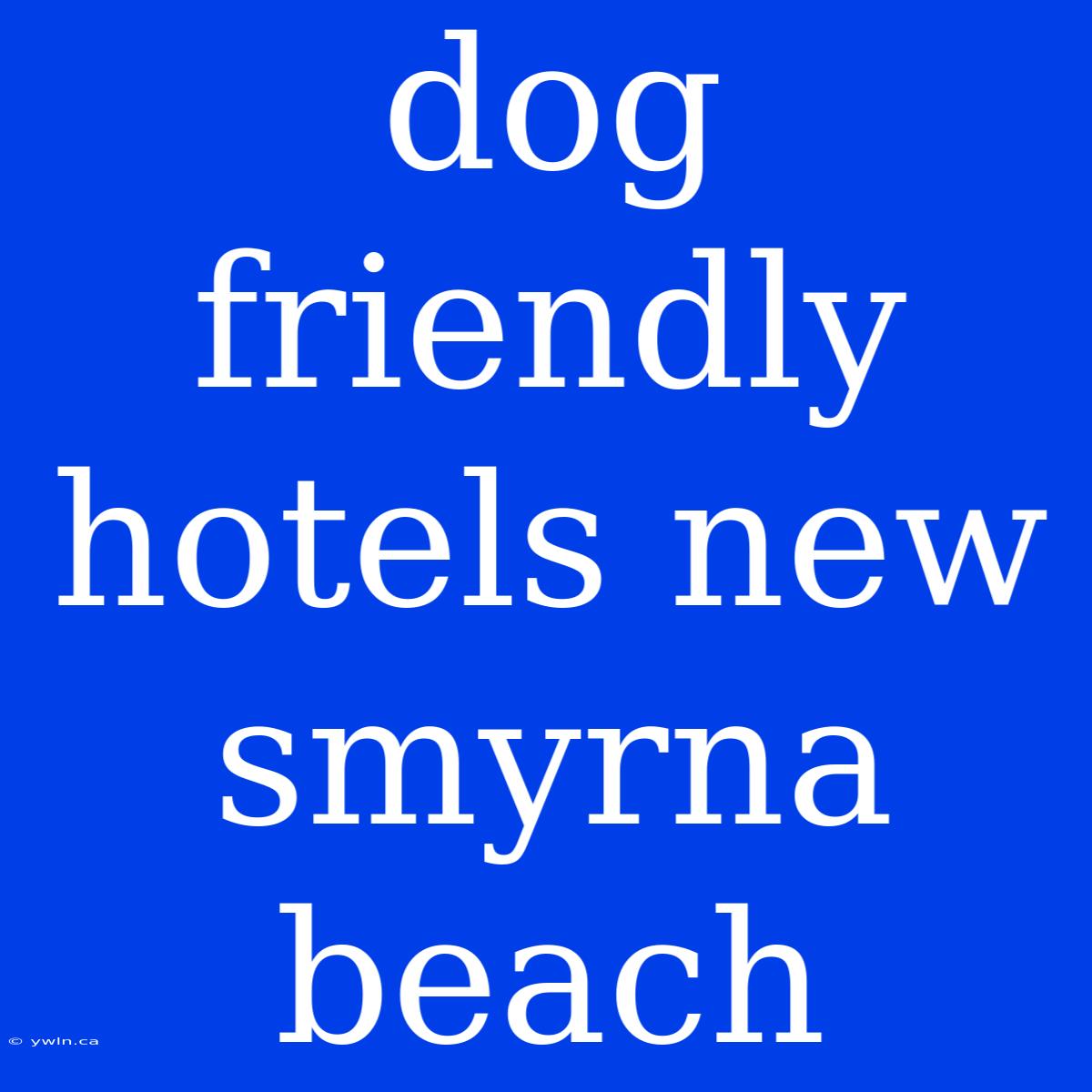 Dog Friendly Hotels New Smyrna Beach