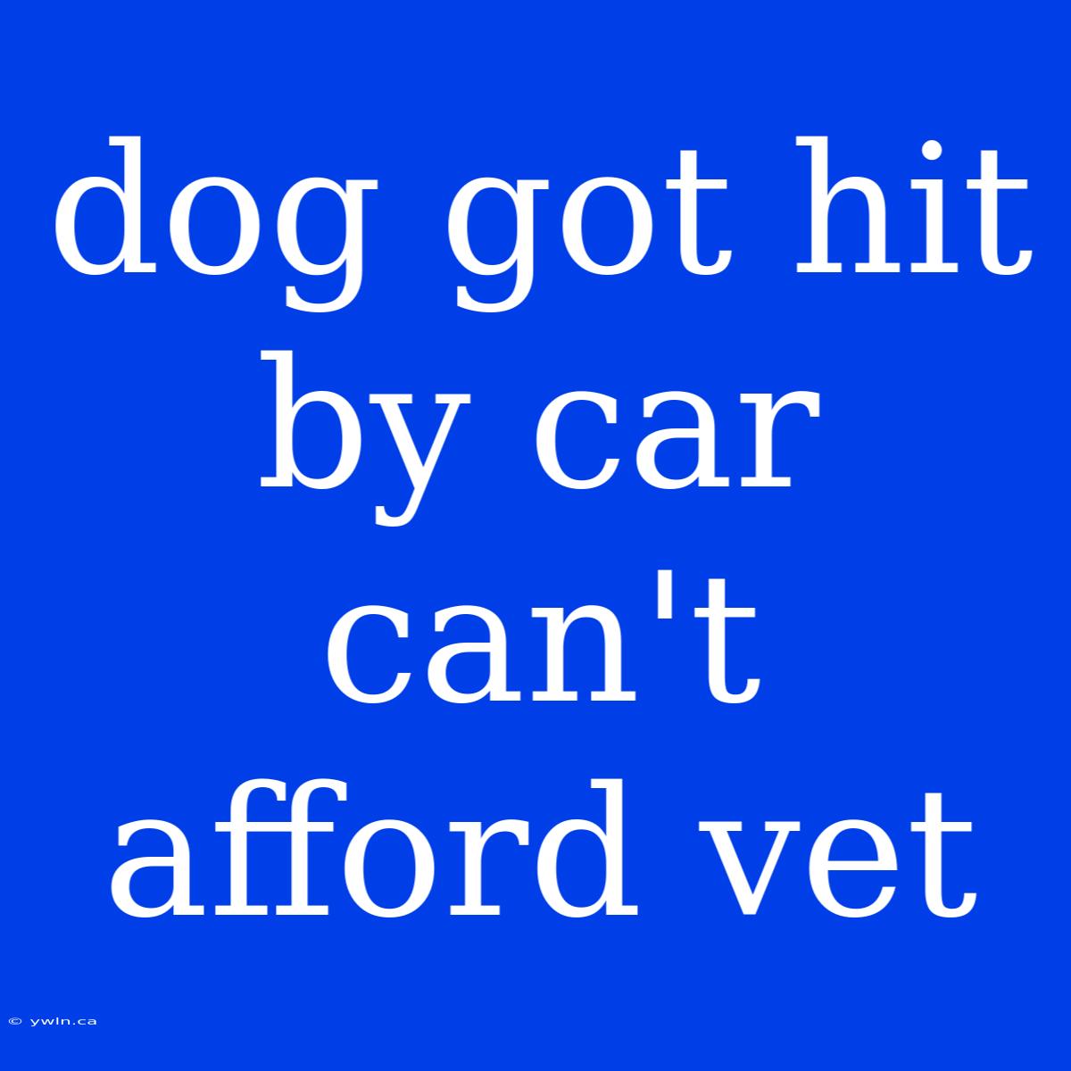 Dog Got Hit By Car Can't Afford Vet