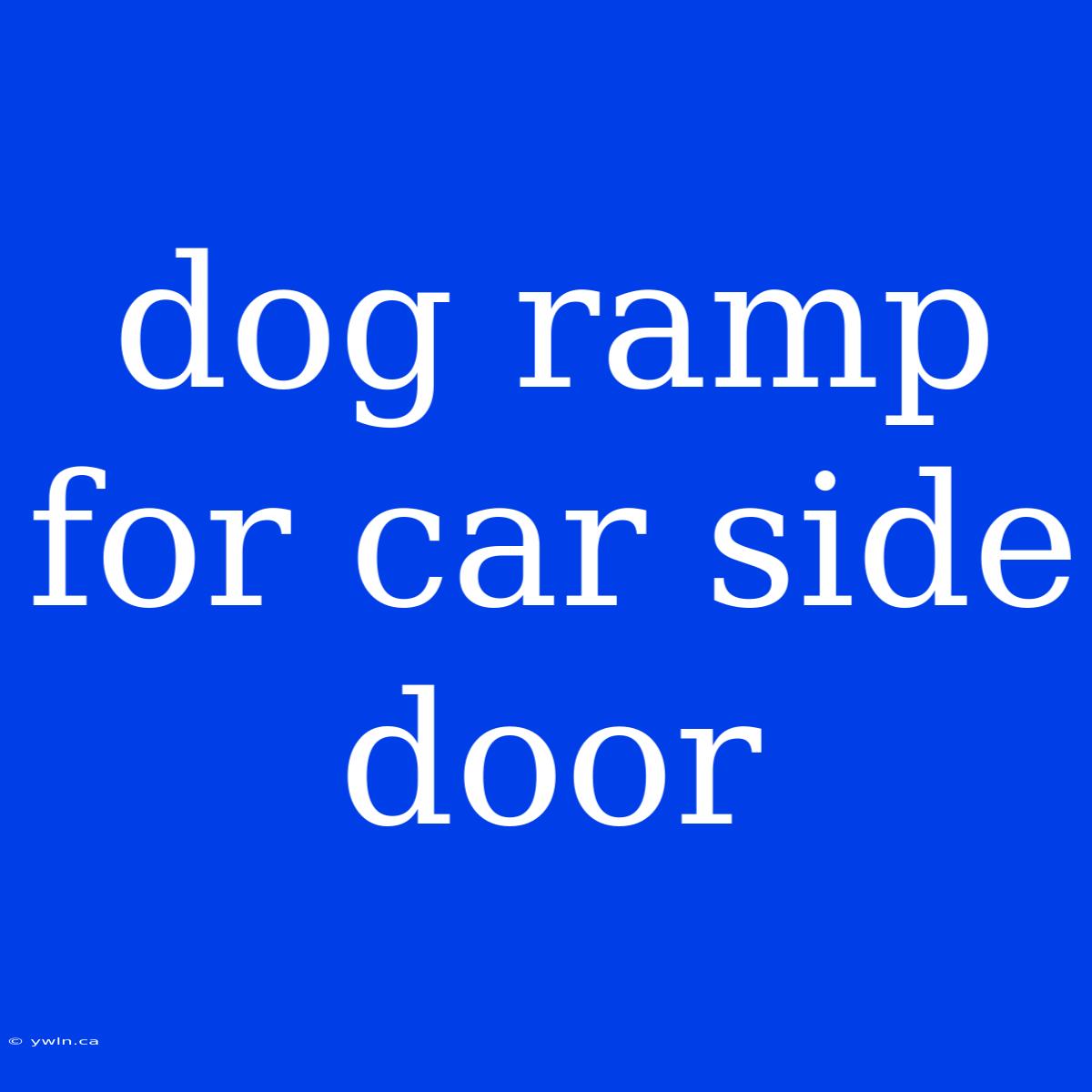 Dog Ramp For Car Side Door