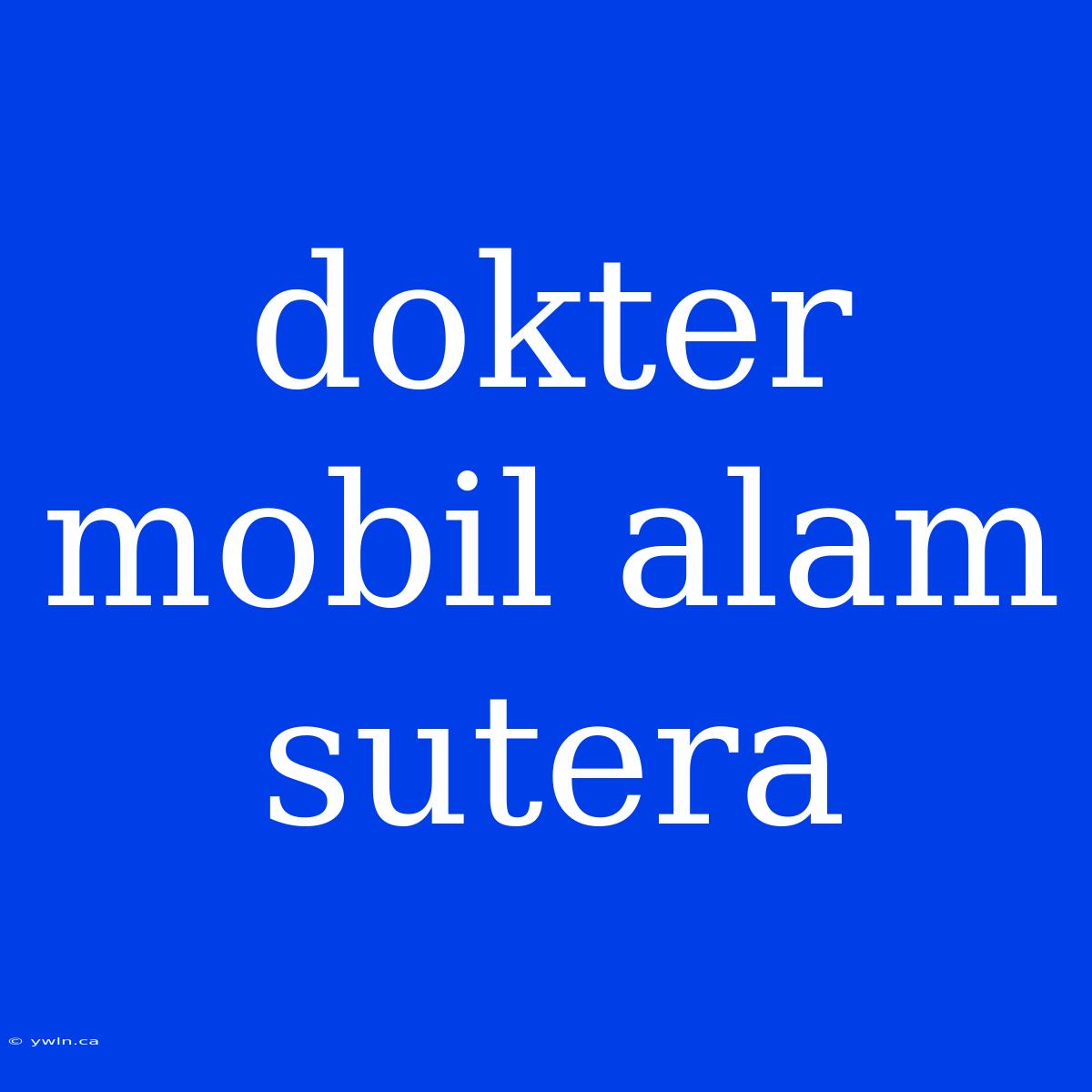 Dokter Mobil Alam Sutera