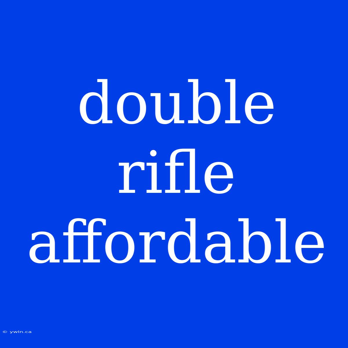 Double Rifle Affordable