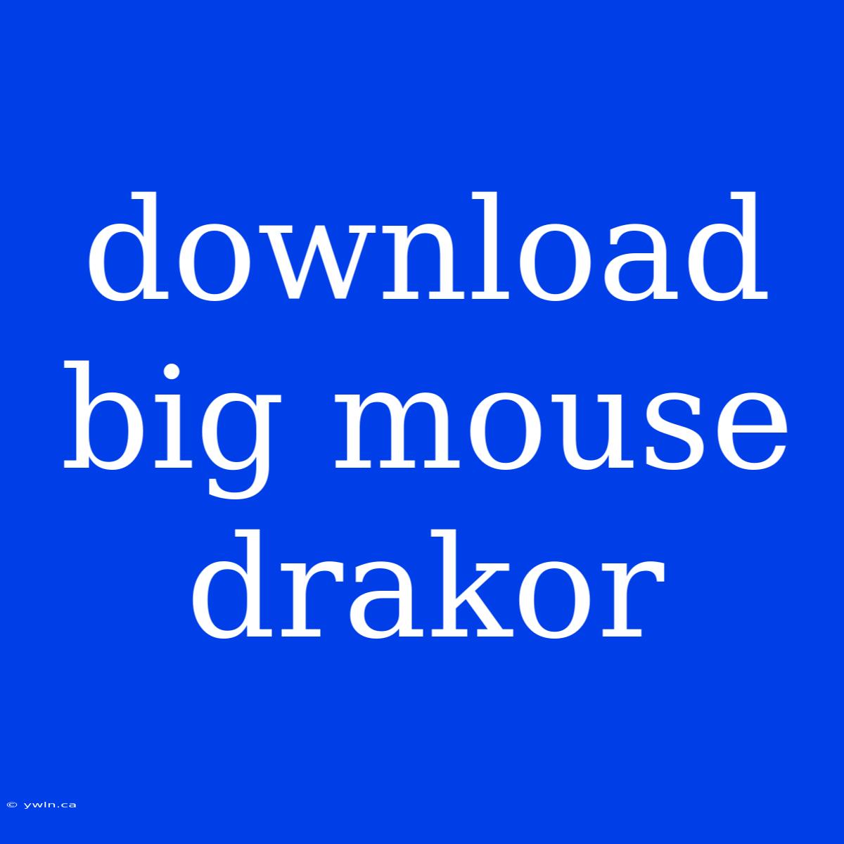 Download Big Mouse Drakor