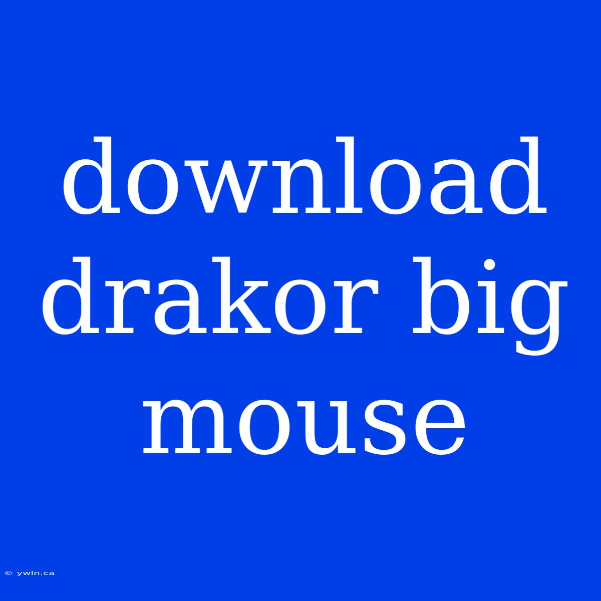 Download Drakor Big Mouse