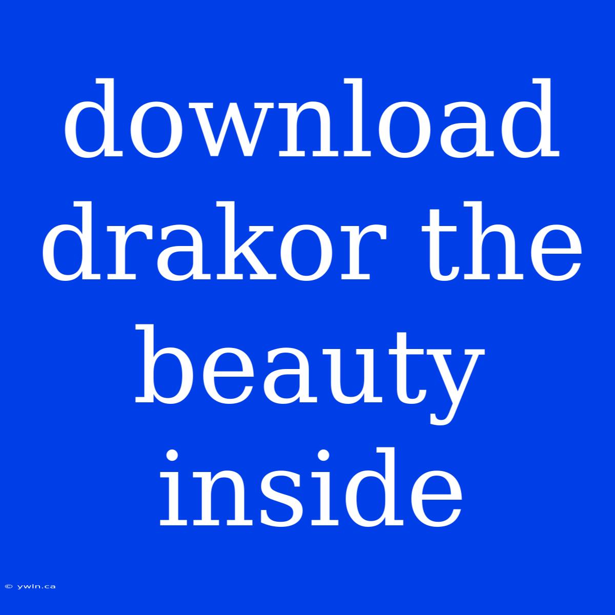 Download Drakor The Beauty Inside