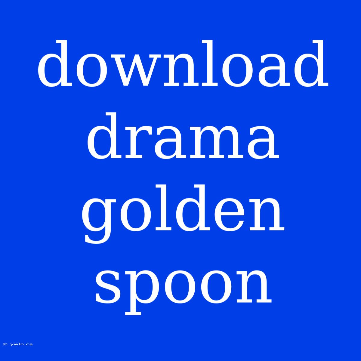 Download Drama Golden Spoon