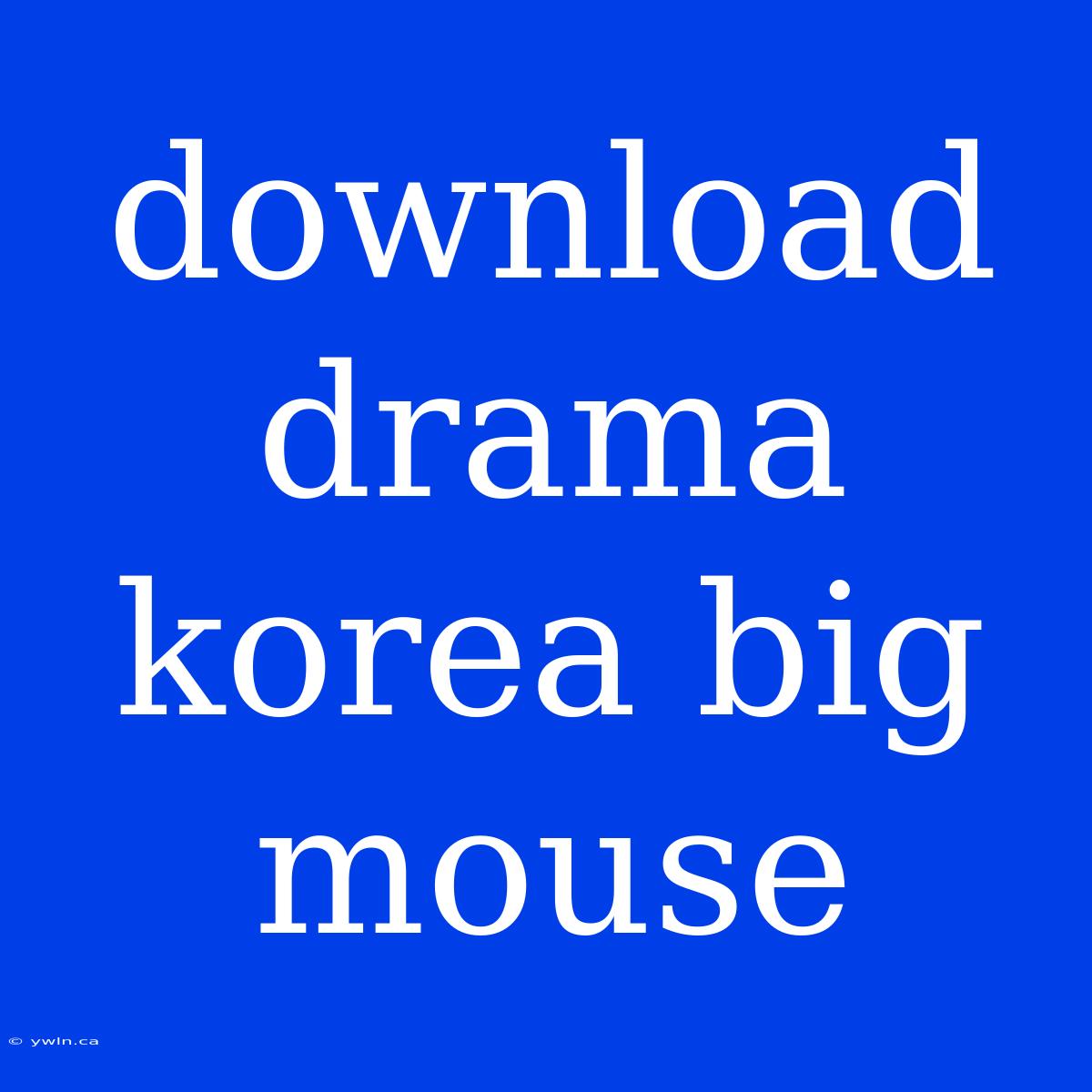 Download Drama Korea Big Mouse