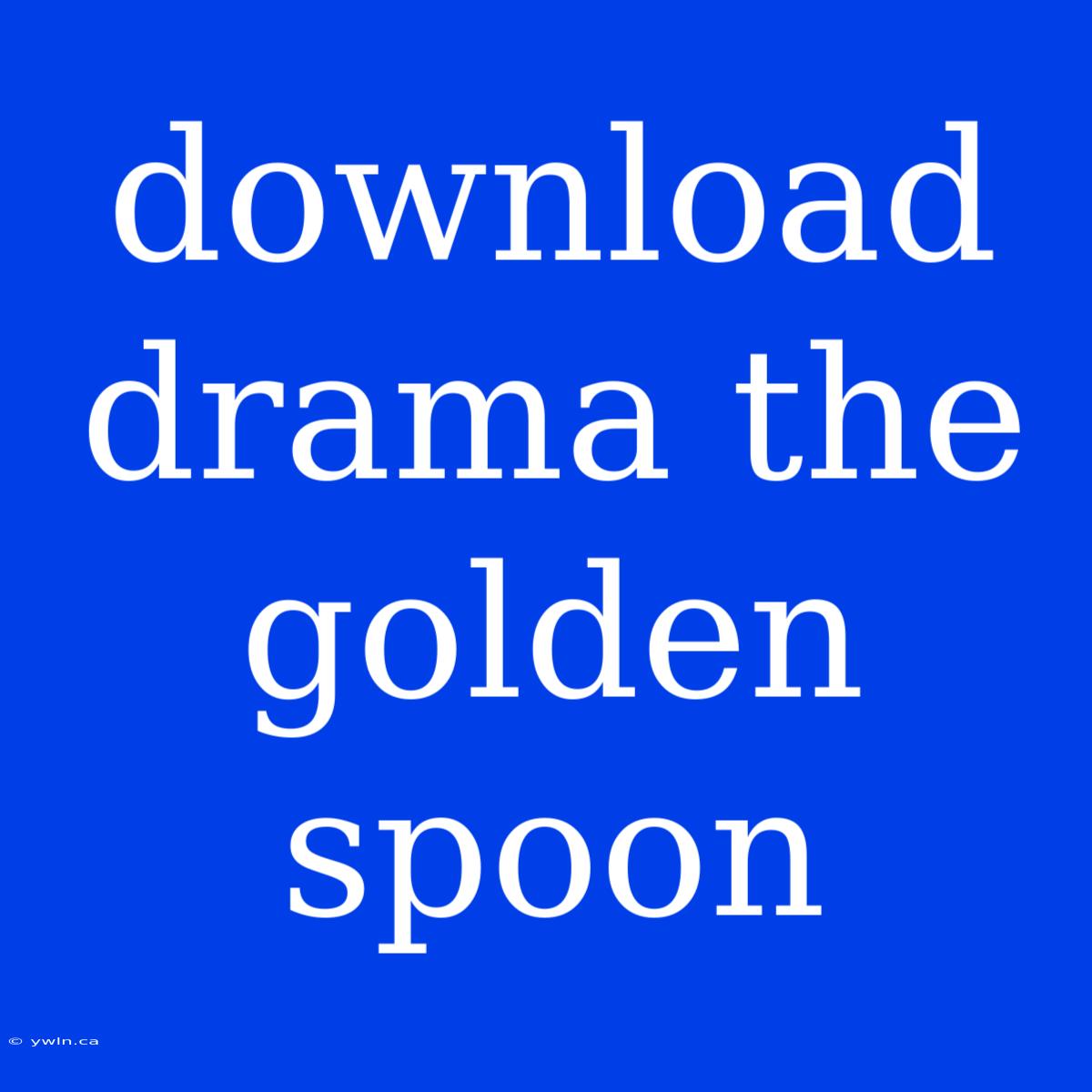 Download Drama The Golden Spoon