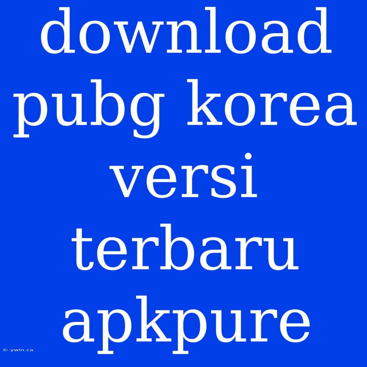 Download Pubg Korea Versi Terbaru Apkpure