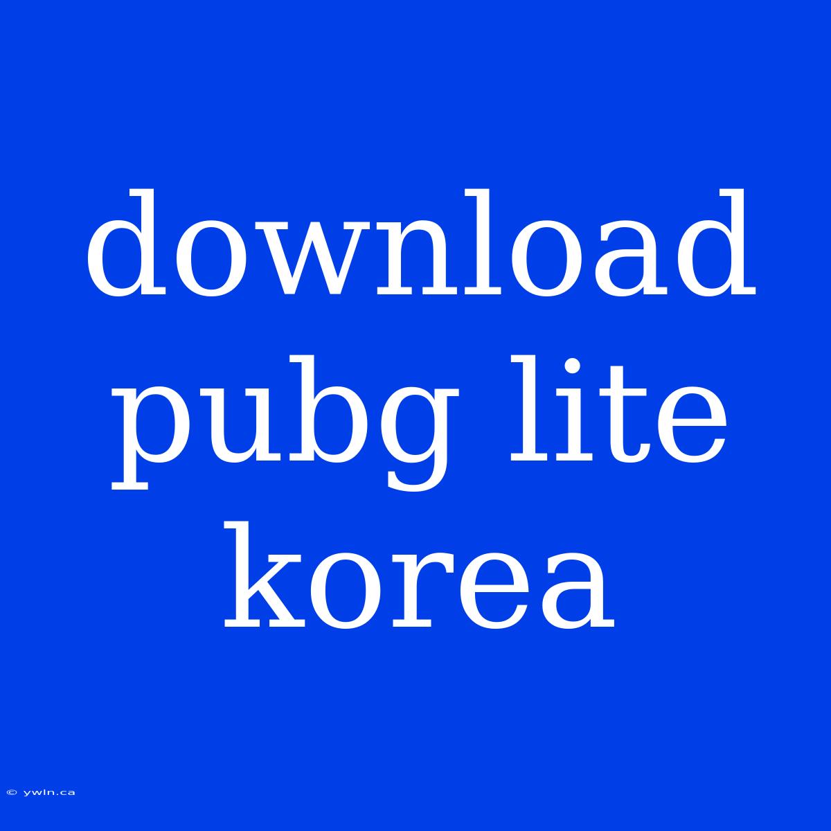 Download Pubg Lite Korea